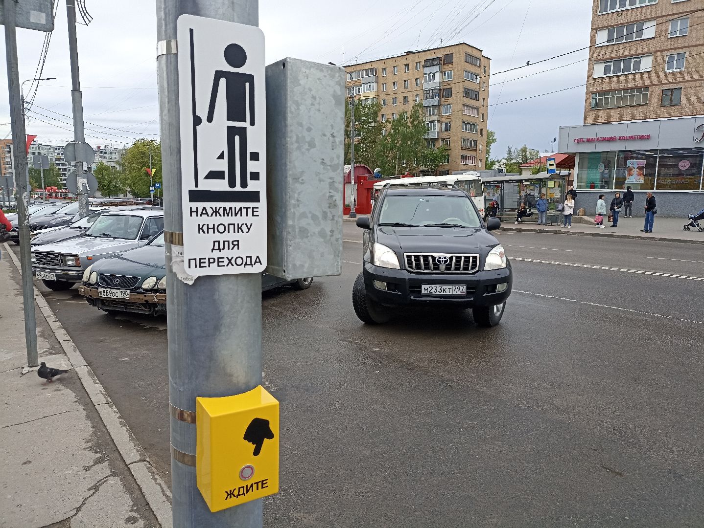 Серпухов, Подмосковье, дороги, знаки, безопасность, пешеходы, автомобилисты, светофор