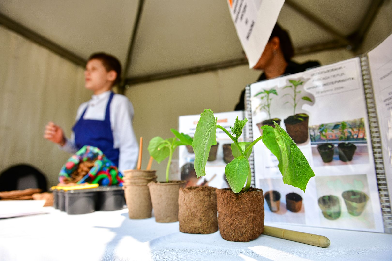 эко, экология, природа,