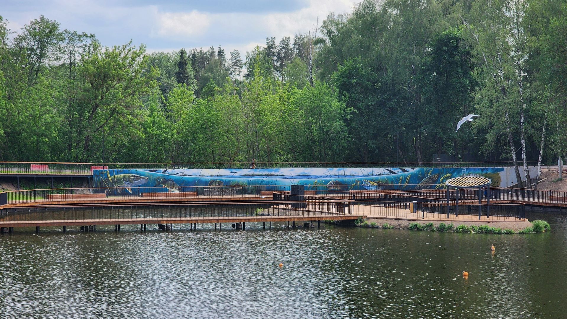 благоустройство, набережная, граффити, лосино-петровский,