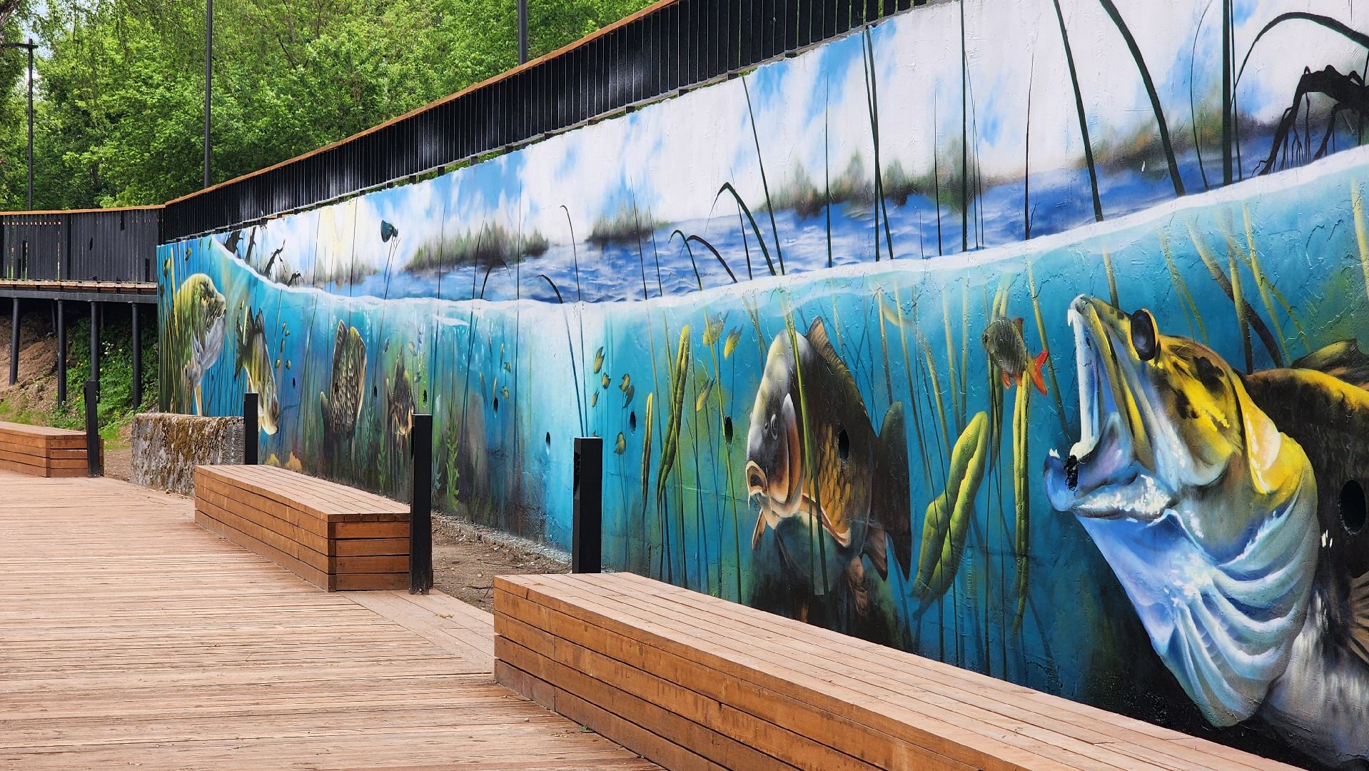 благоустройство, набережная, граффити, лосино-петровский,