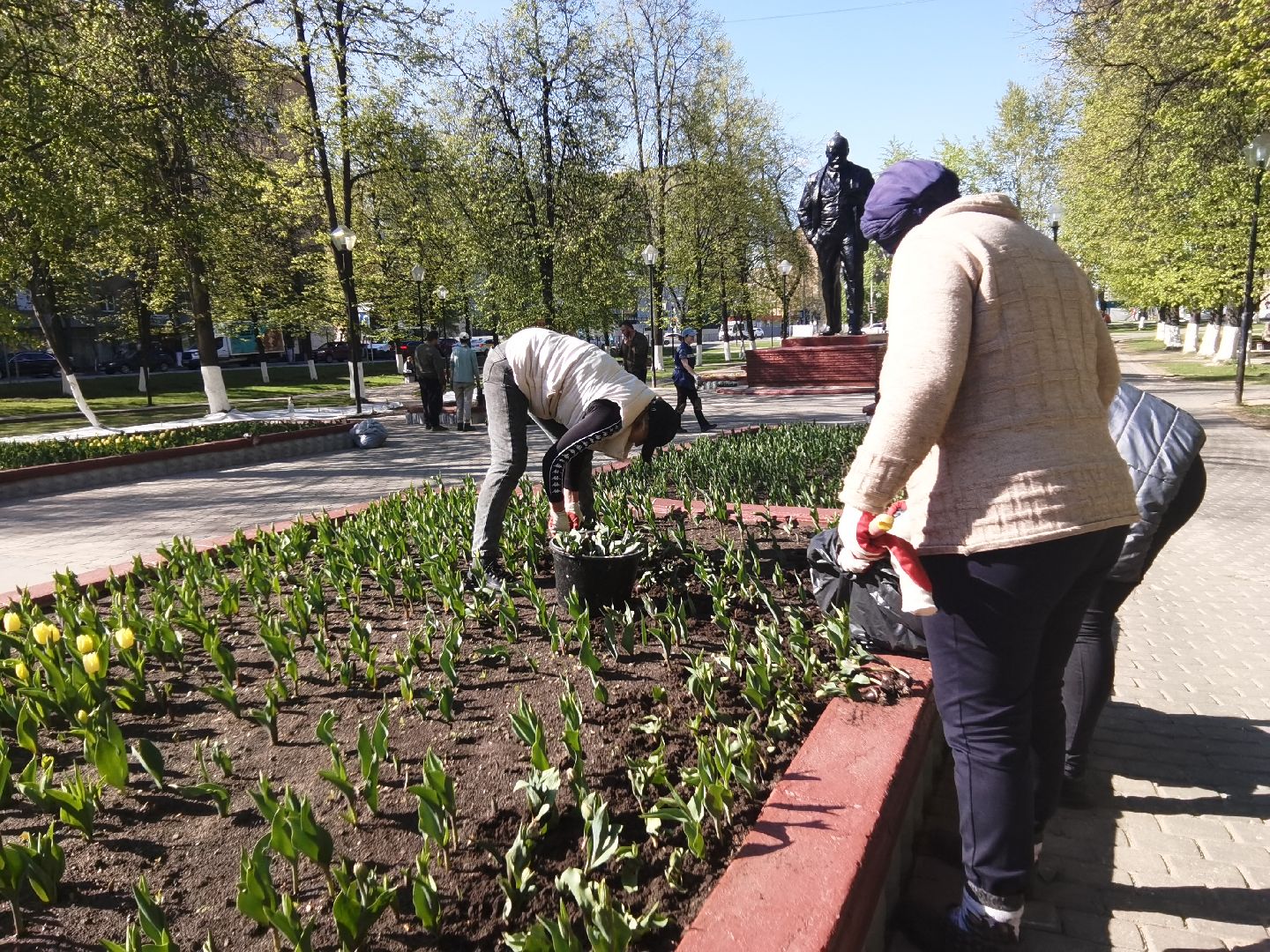 Балашиха, сквер имени Ленина, Благоустройство Балашиха, тюльпаны, День Победы, клумбы, Балашиха-1, Железнодорожный