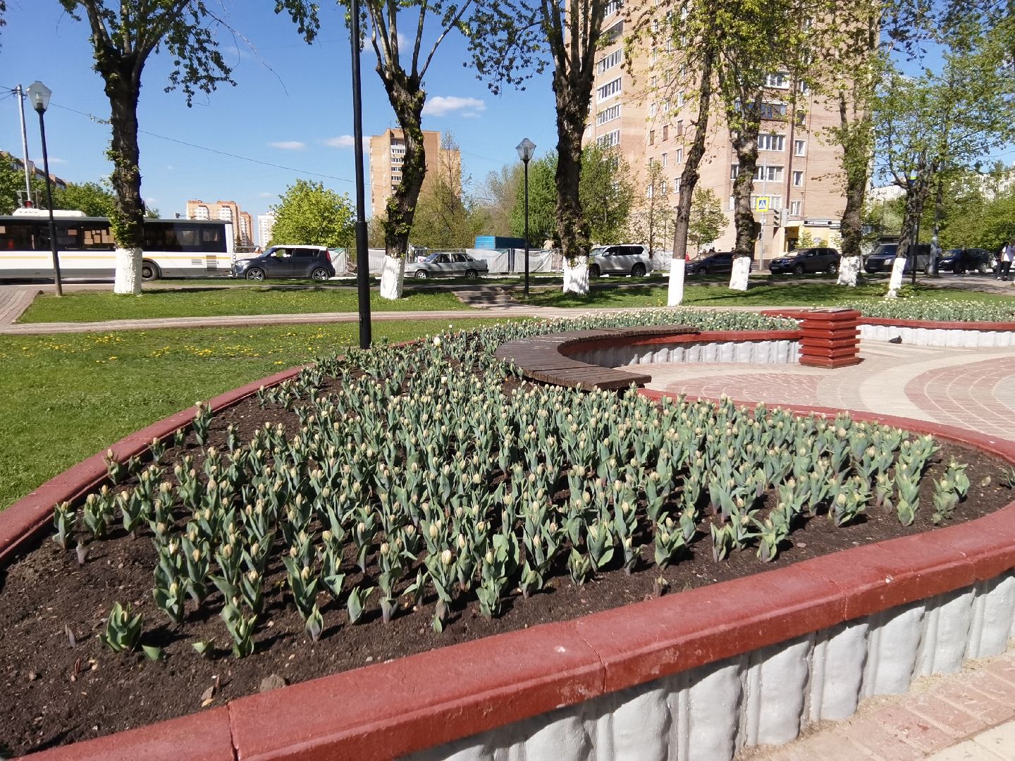 Балашиха, сквер имени Ленина, Благоустройство Балашиха, тюльпаны, День Победы, клумбы, Балашиха-1, Железнодорожный