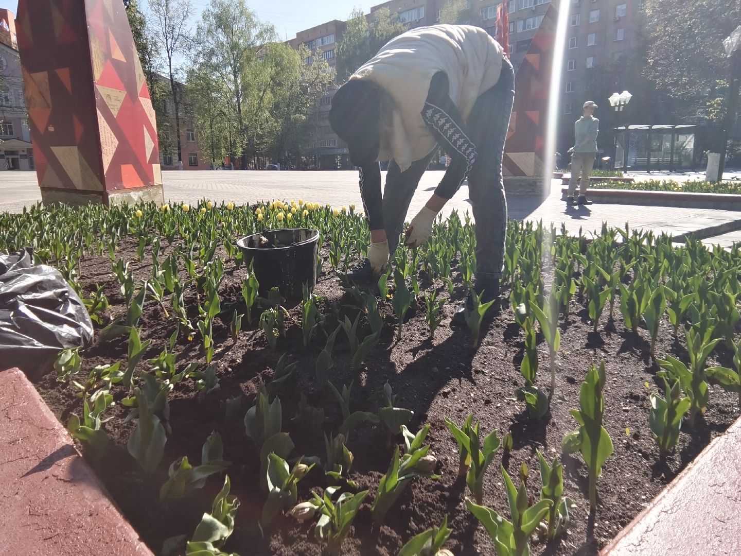 Балашиха, сквер имени Ленина, Благоустройство Балашиха, тюльпаны, День Победы, клумбы, Балашиха-1, Железнодорожный