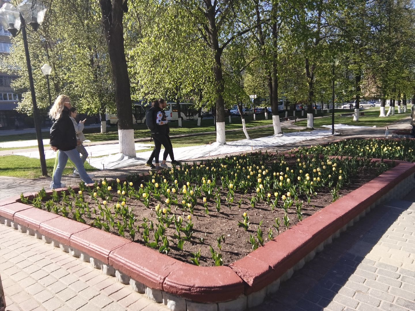 Балашиха, сквер имени Ленина, Благоустройство Балашиха, тюльпаны, День Победы, клумбы, Балашиха-1, Железнодорожный