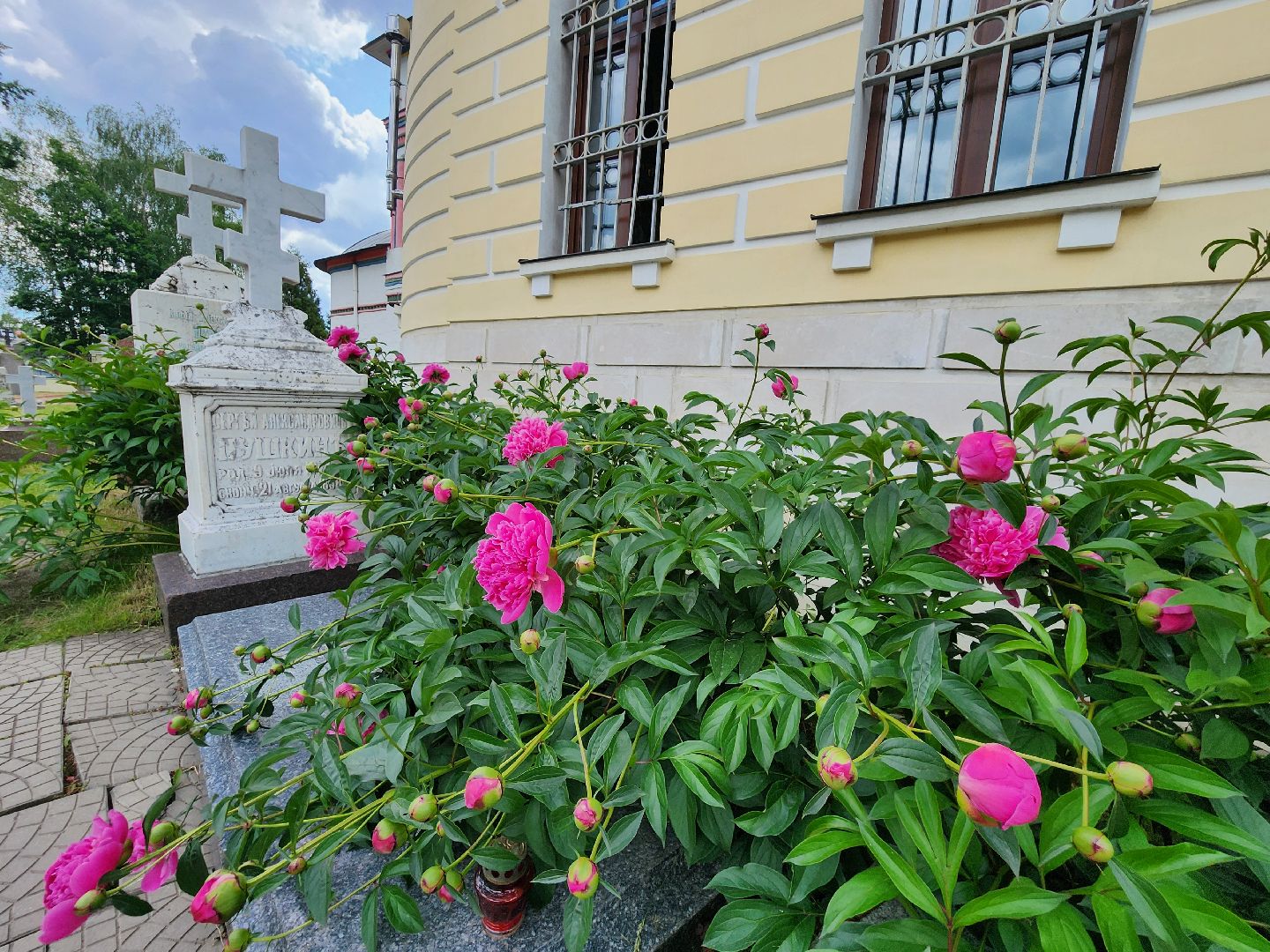 чехов, улица пушкина, музей усадьба лопасня-зачатьевское, день рождения александра пушкина, выставки, конкурс, концерт, бесплатные обзорные экскурсии, музей-заповедник мелихово, потомки поэта,