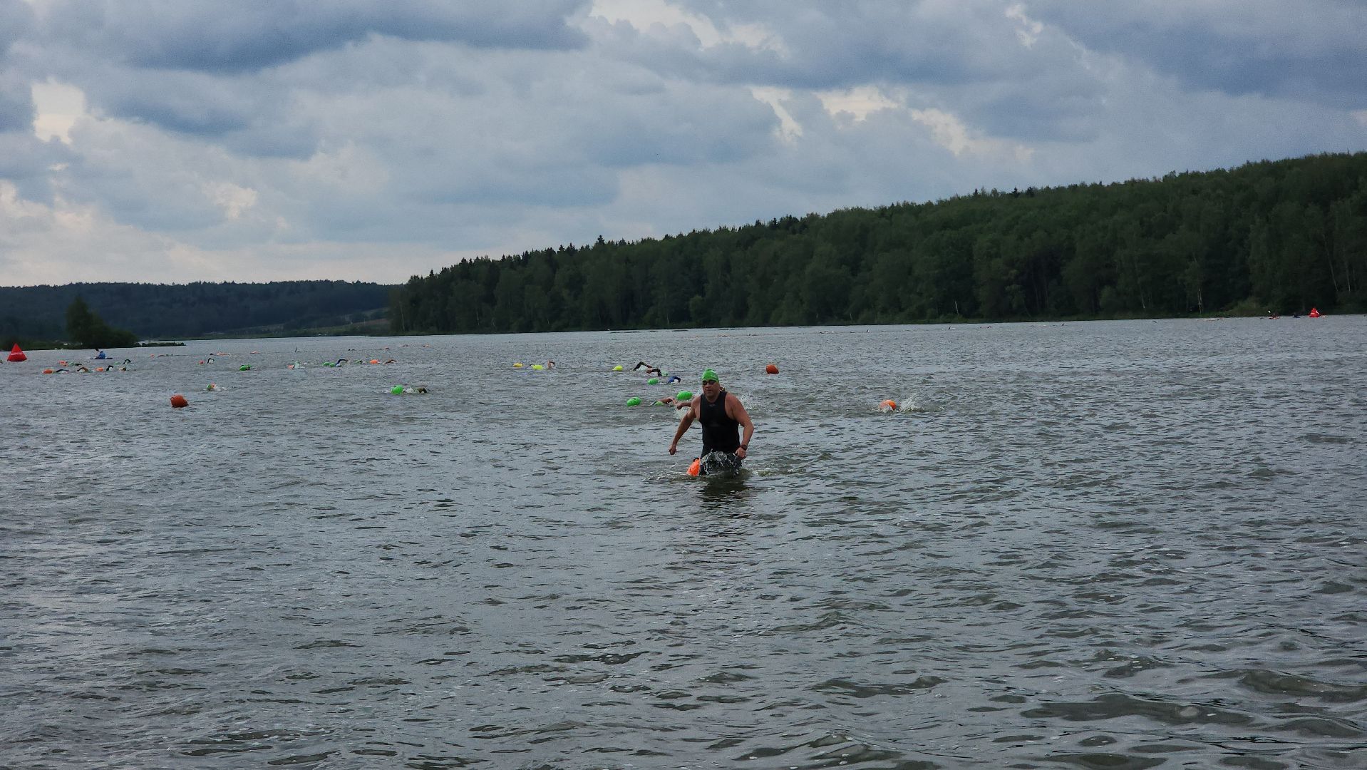swimcup, соревнования по плаванию, сергиево-посадский городской округ,