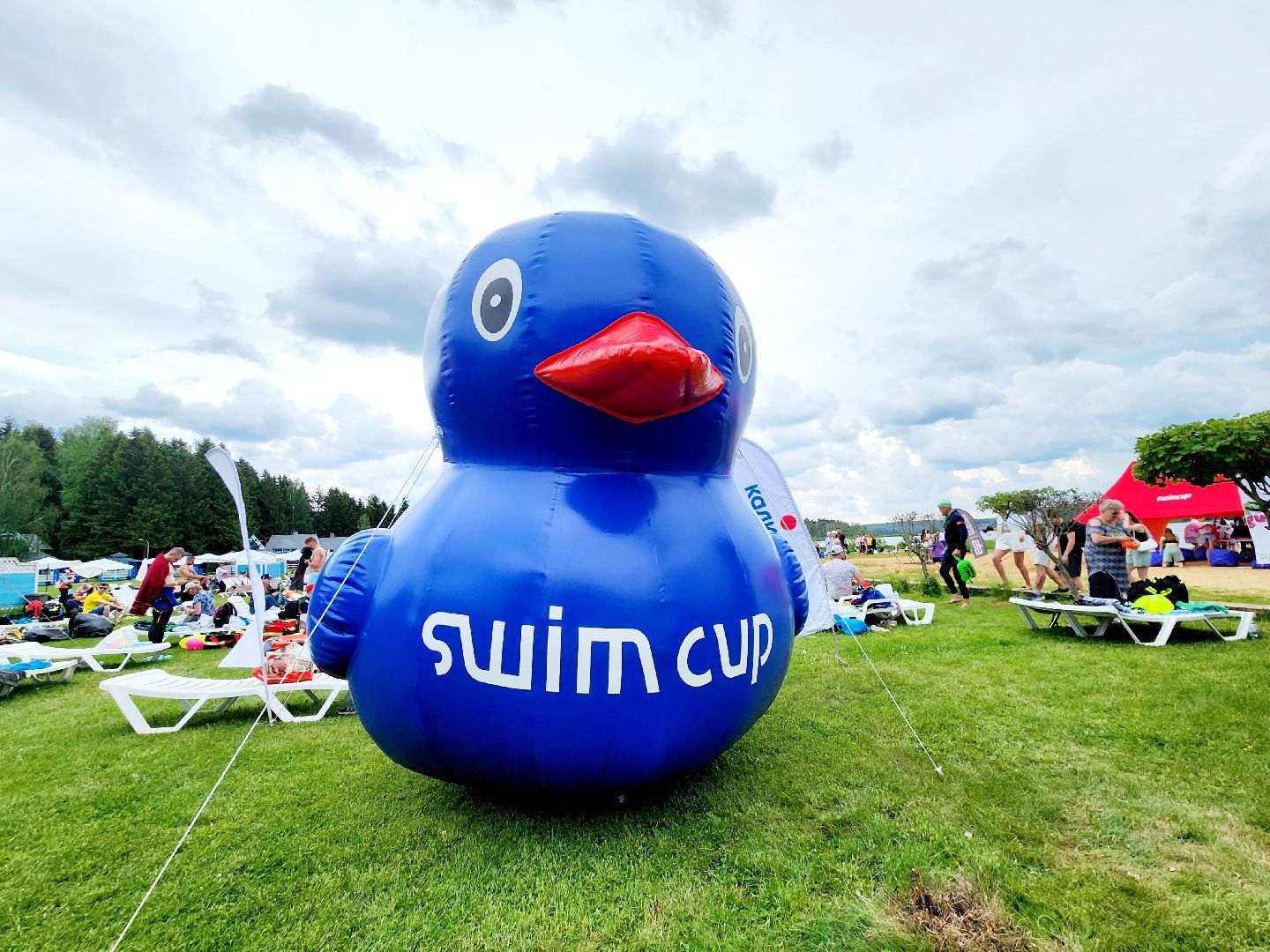 swimcup, соревнования по плаванию, сергиево-посадский городской округ,