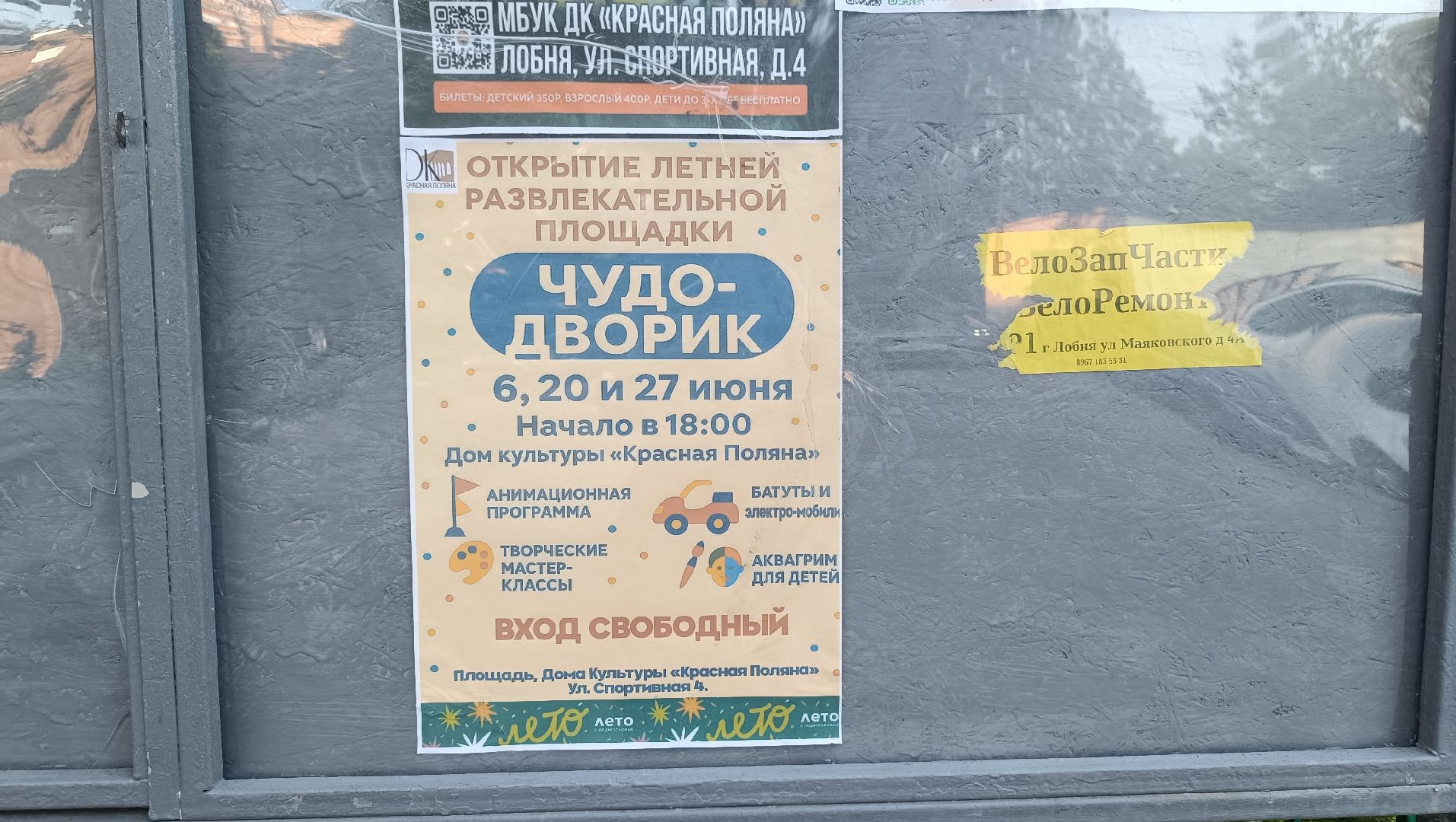 дети, лобня, лето,