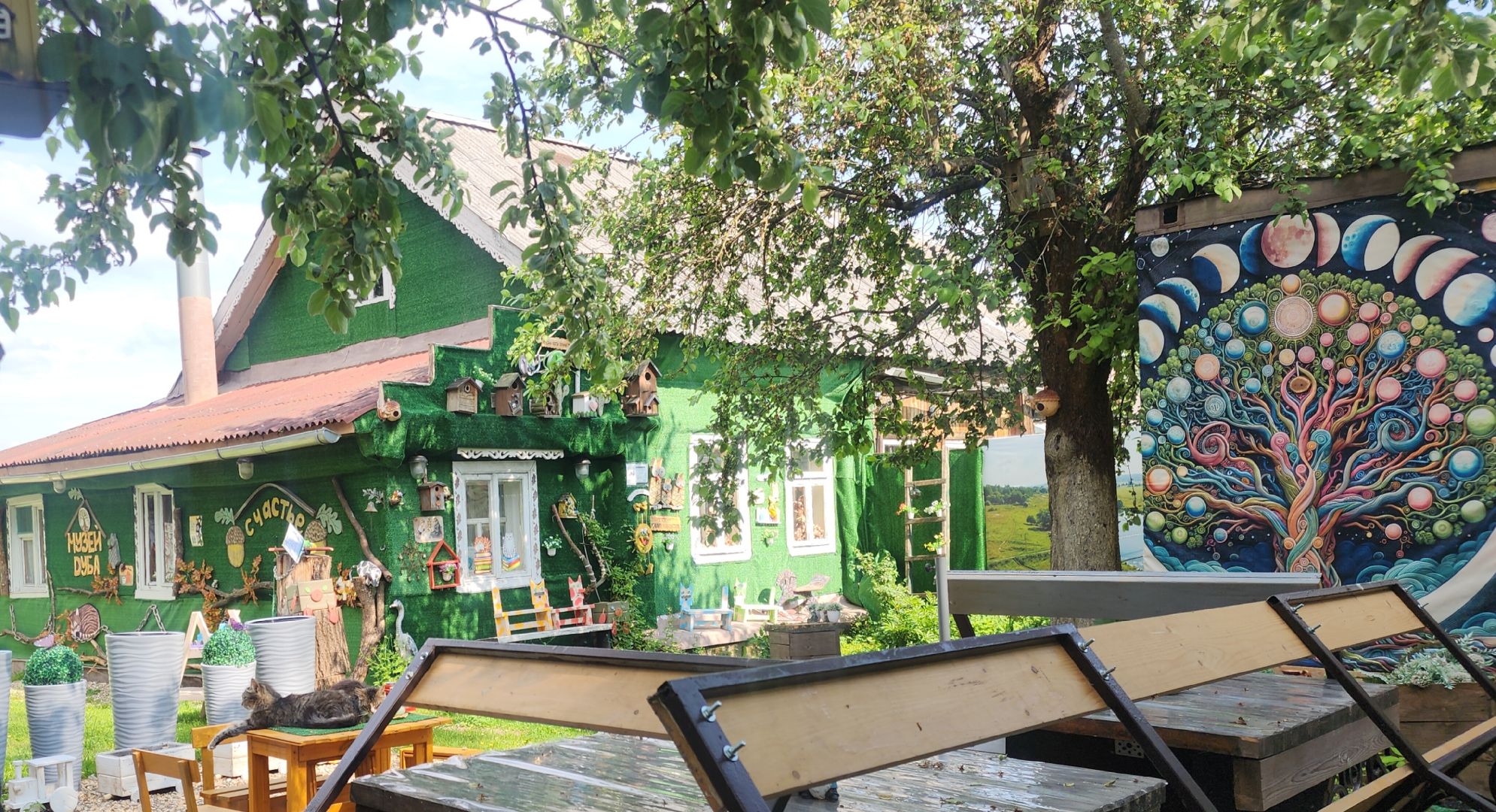 Звенигород, Туризм, Дары дуба,Культура,