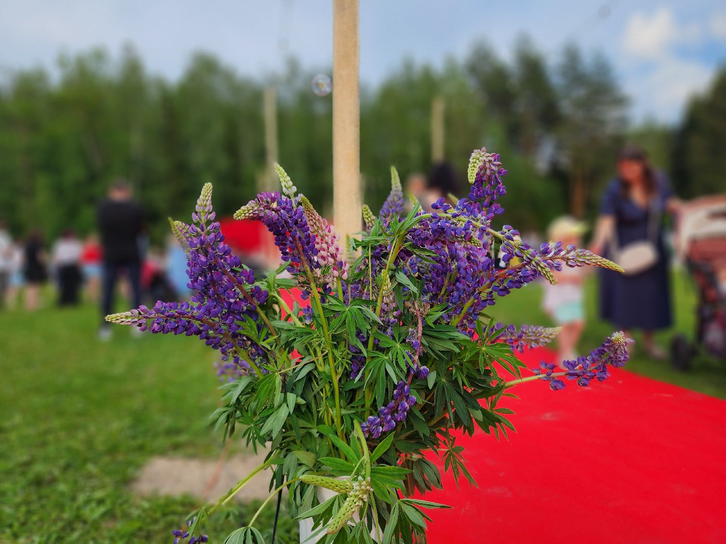 софрино, сказки пушкина, фестиваль народных промыслов, пушкинский городской округ,дк юбилейный,
