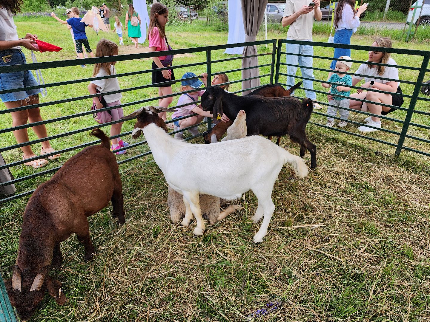 софрино, сказки пушкина, фестиваль народных промыслов, пушкинский городской округ,дк юбилейный,