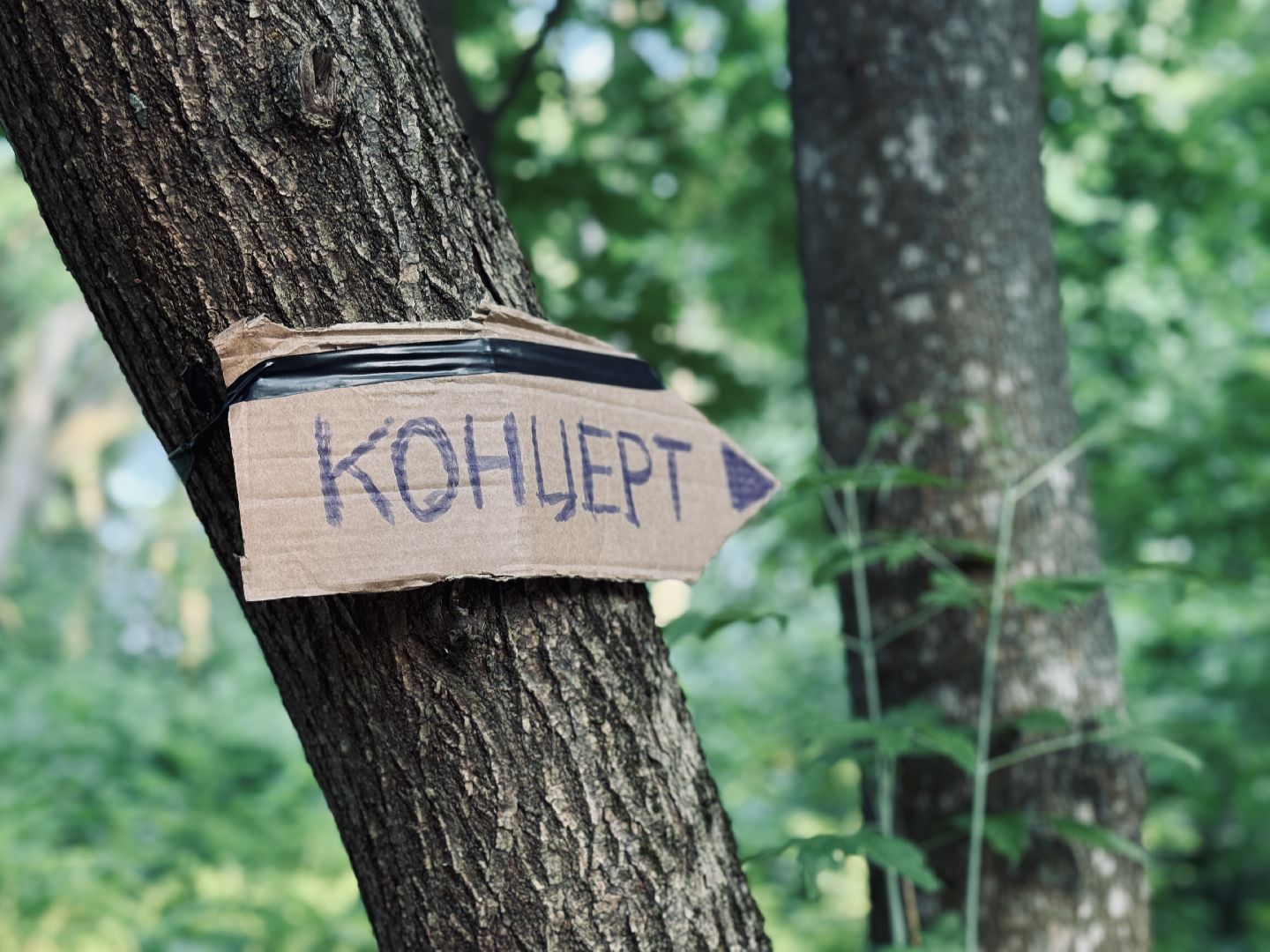 усадьба быково, кратово, театр, летняя сцена, фестиваль,