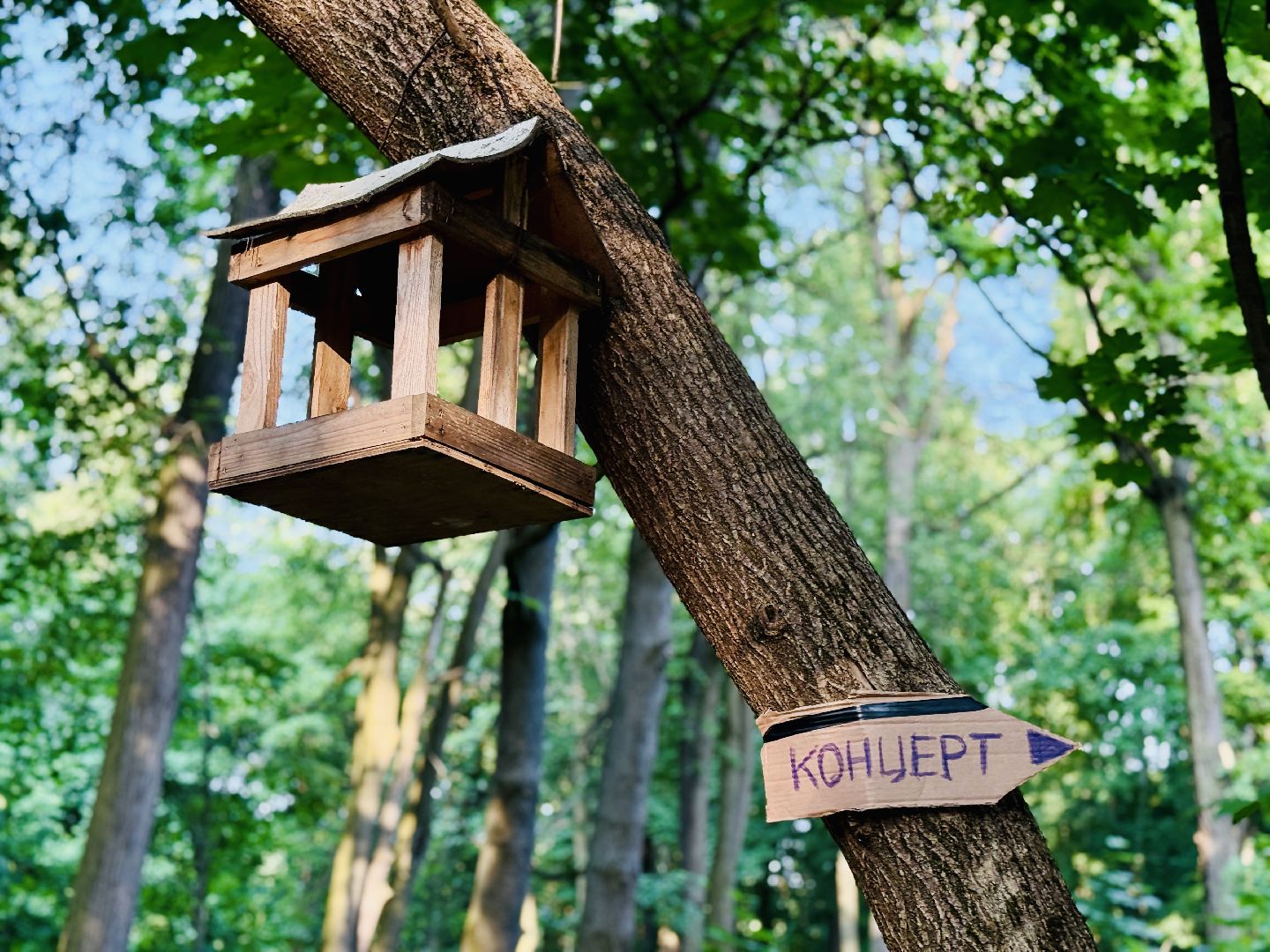 усадьба быково, кратово, театр, летняя сцена, фестиваль,