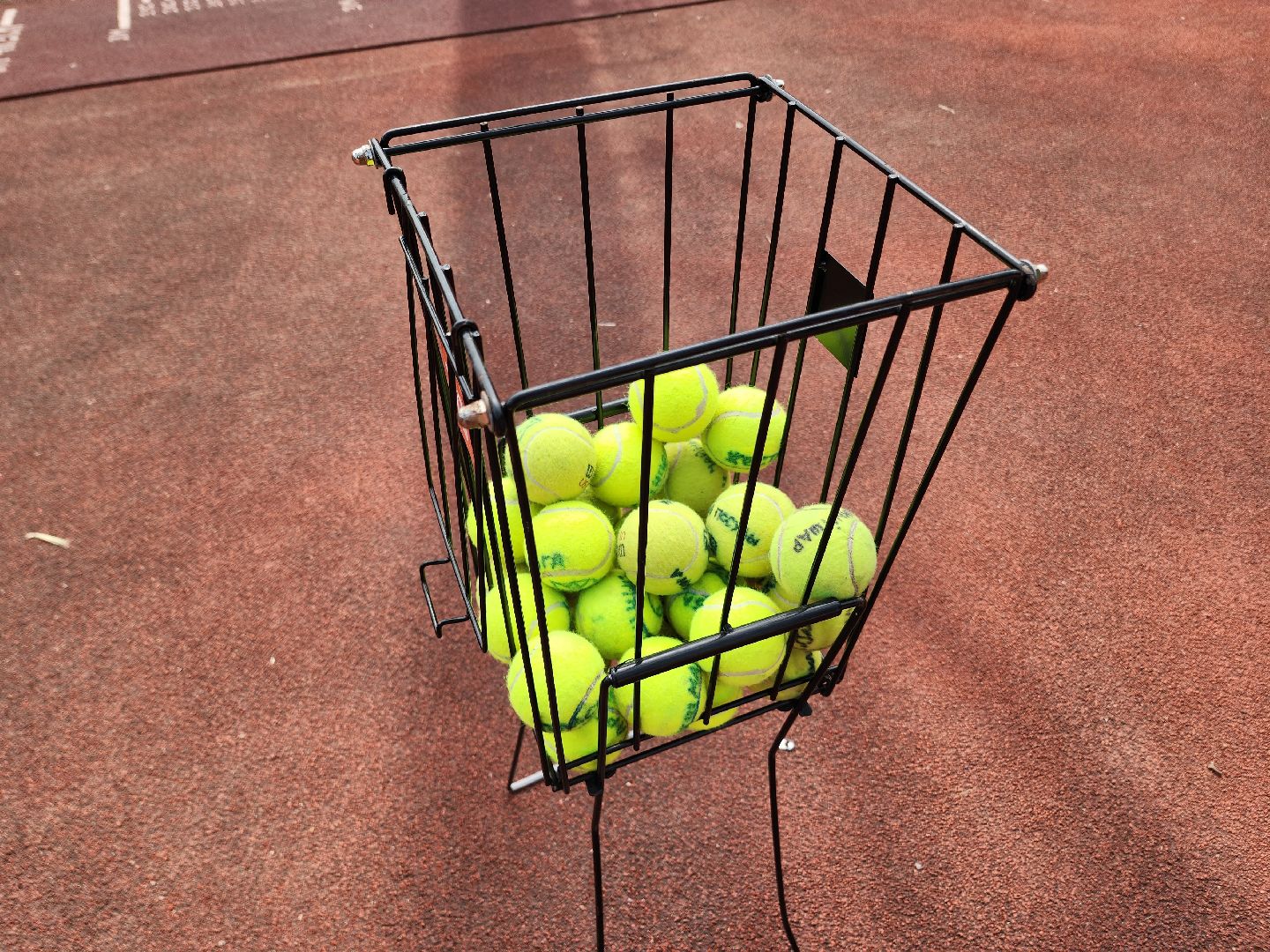 солнечногорск, бег, экология, спорт, жители ,