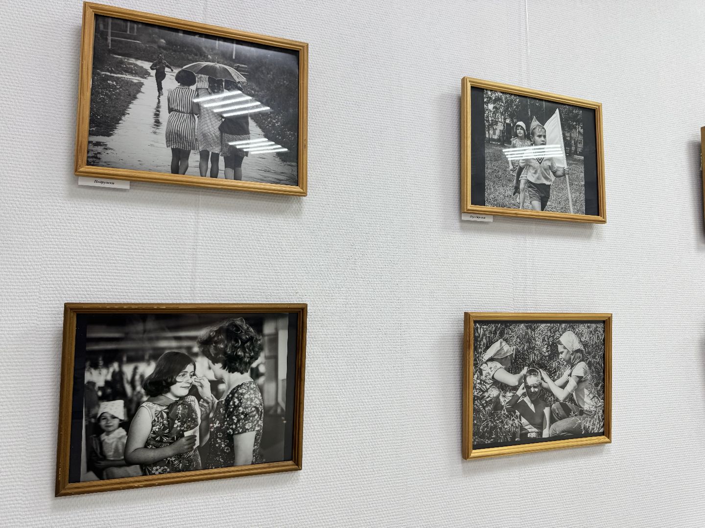 шаховская, выставка, фотовыставка,