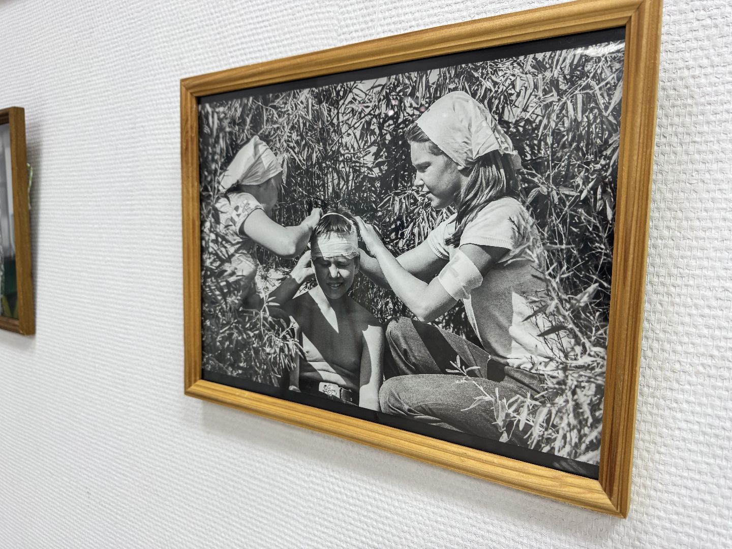 шаховская, выставка, фотовыставка,