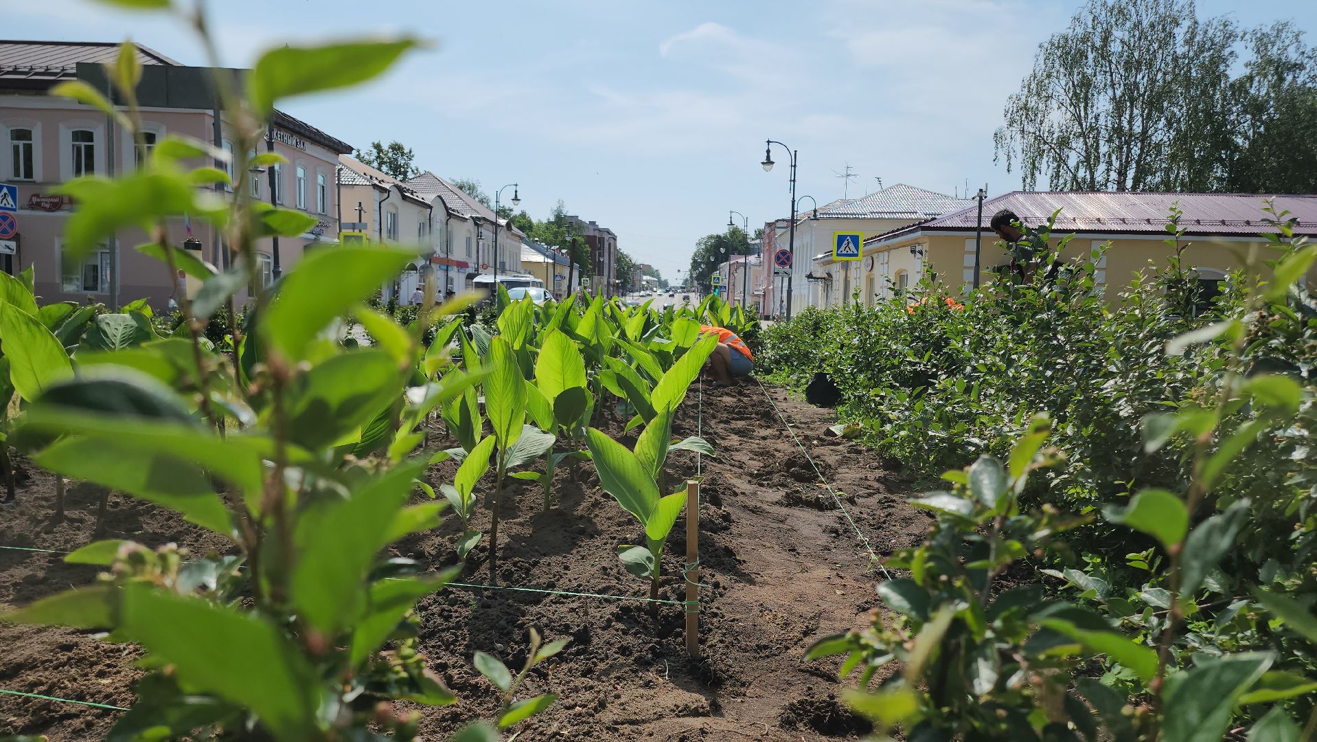 Егорьевск , Подмосковье , Московская область ,