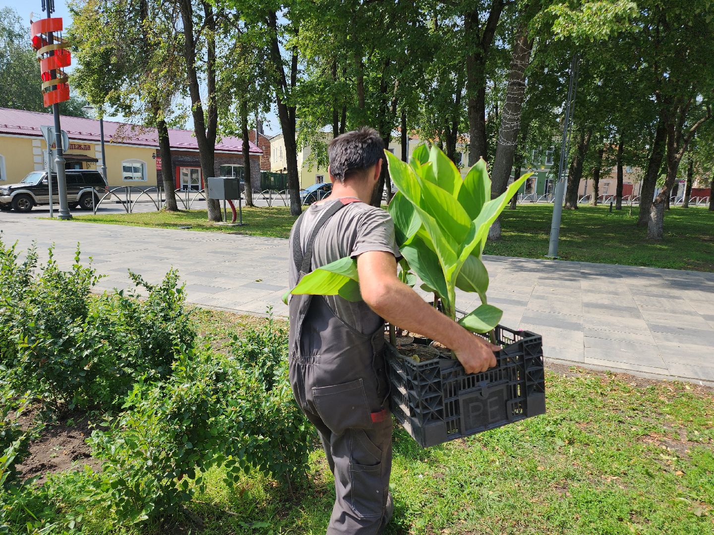 Егорьевск , Подмосковье , Московская область ,