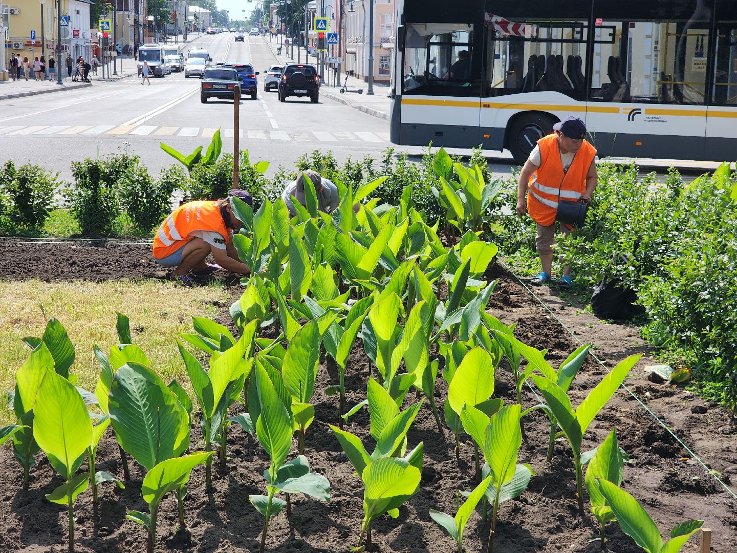 Егорьевск , Подмосковье , Московская область ,