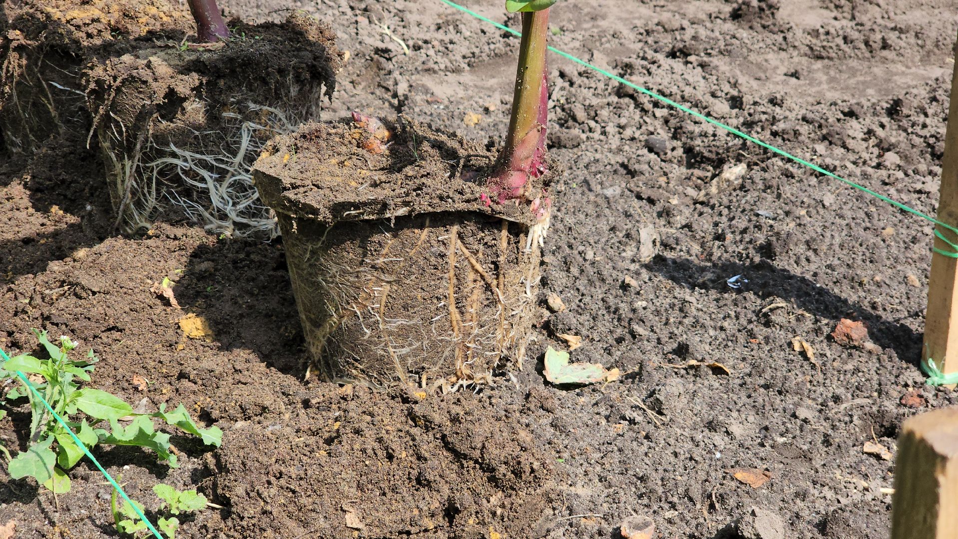 Егорьевск , Подмосковье , Московская область ,