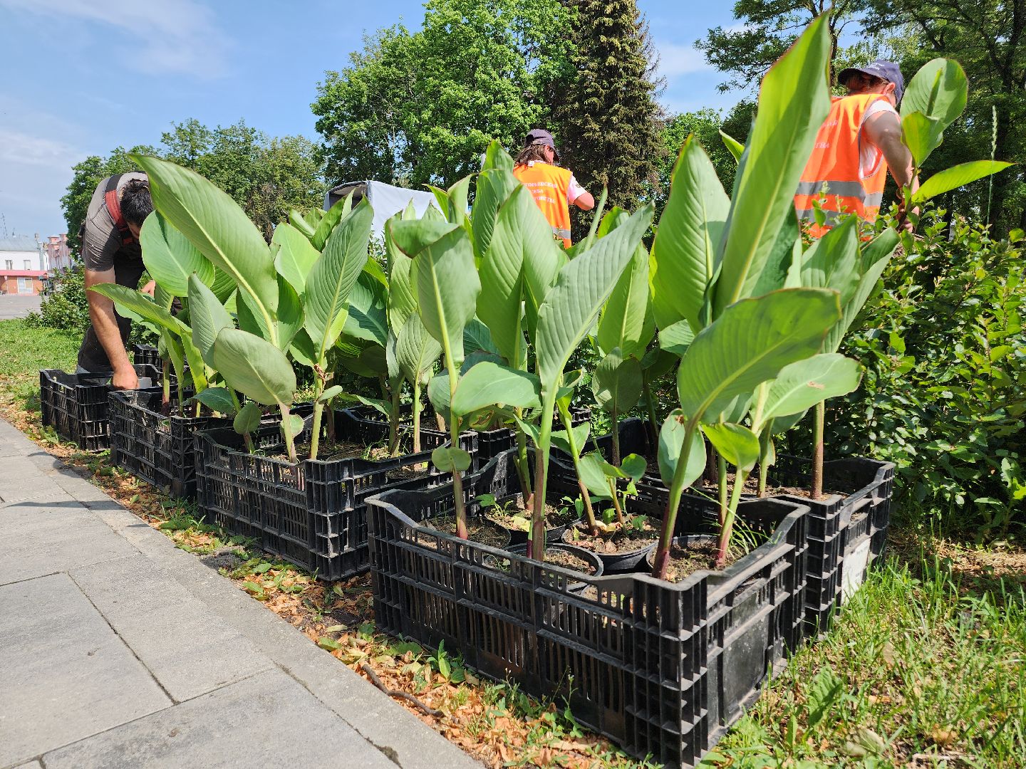 Егорьевск , Подмосковье , Московская область ,