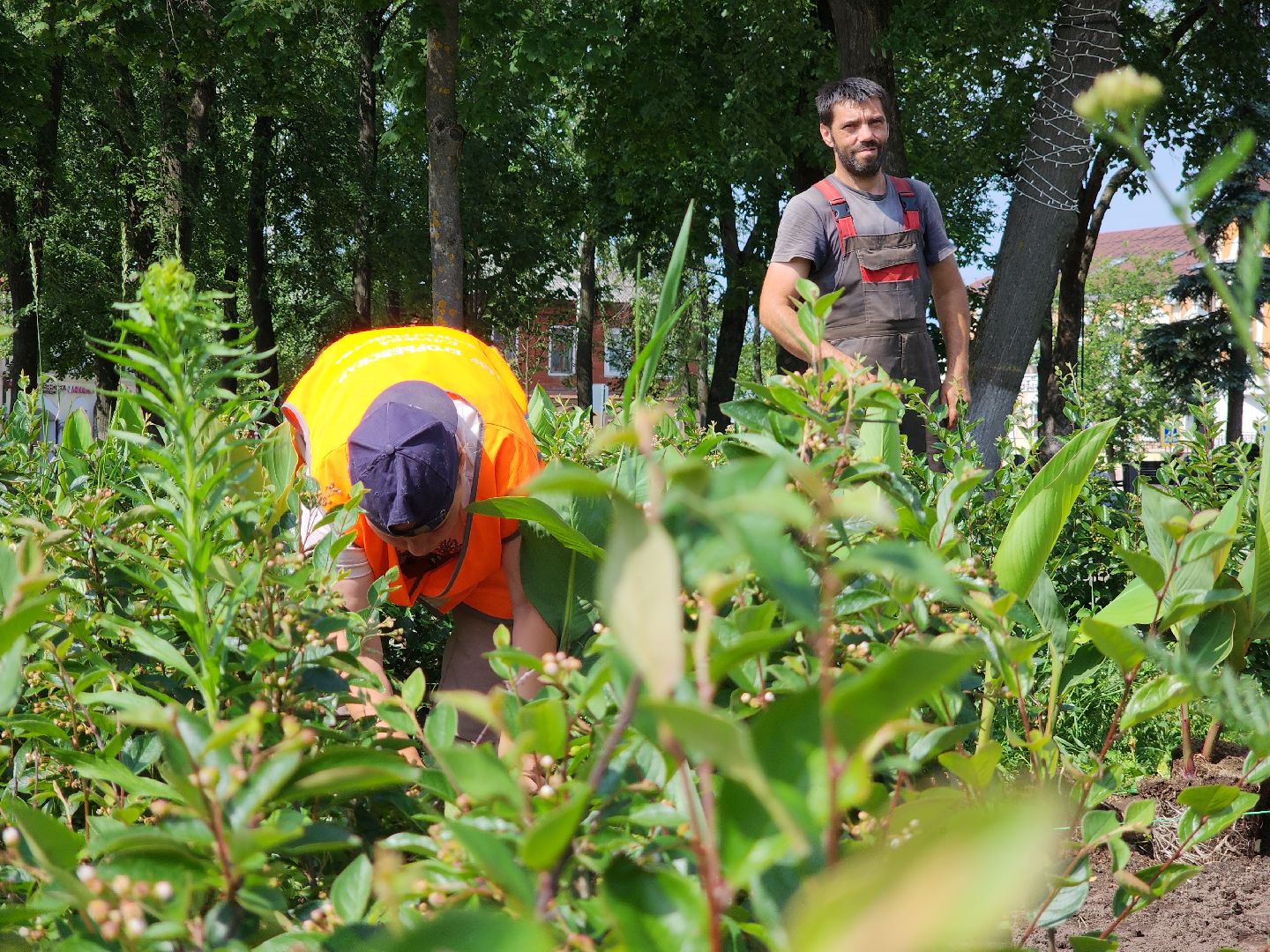 Егорьевск , Подмосковье , Московская область ,