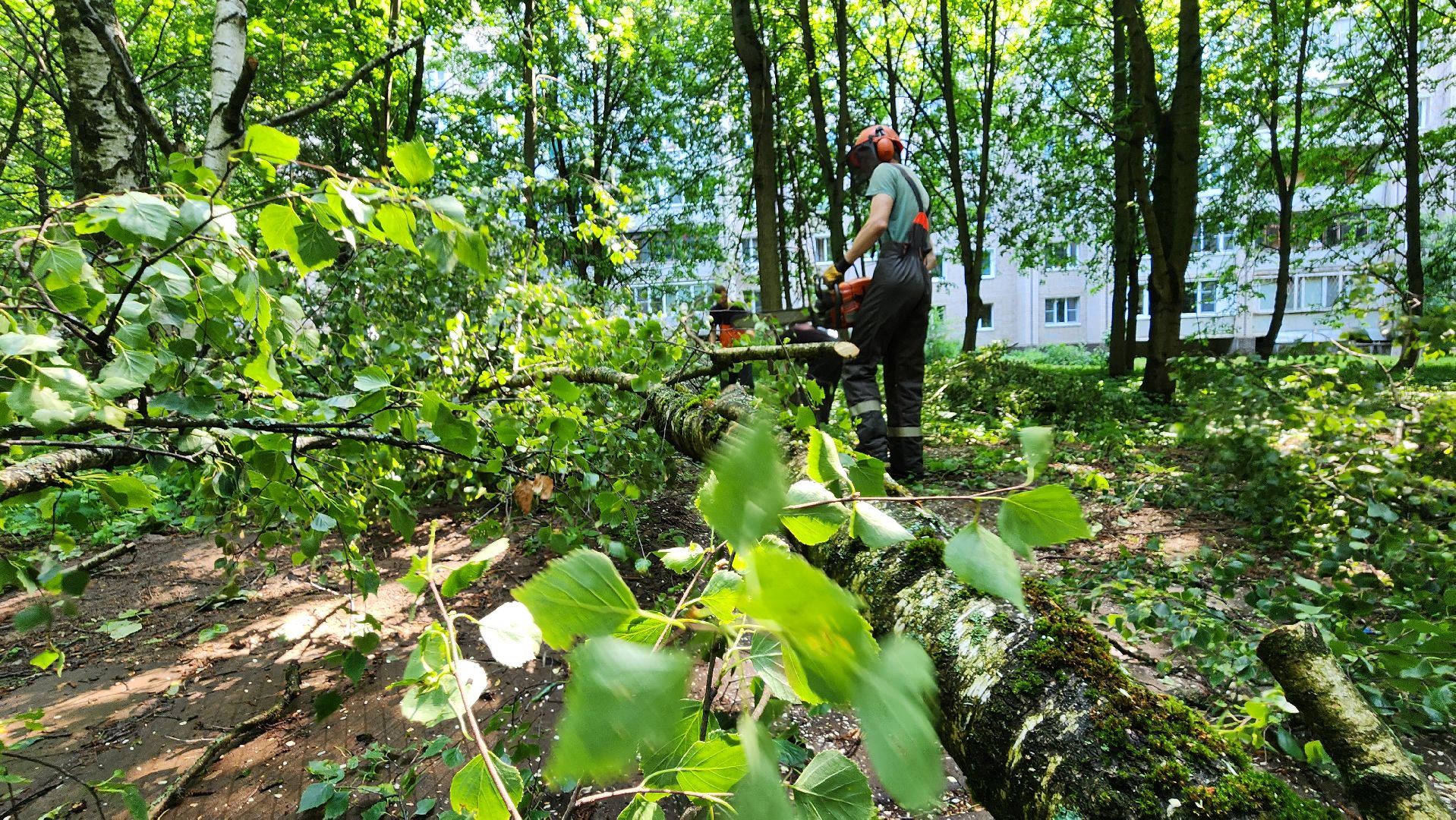 последствия урагана, комбинат благоустройства, протвино,