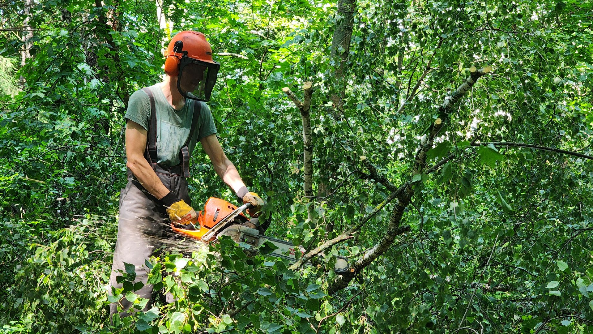 последствия урагана, комбинат благоустройства, протвино,