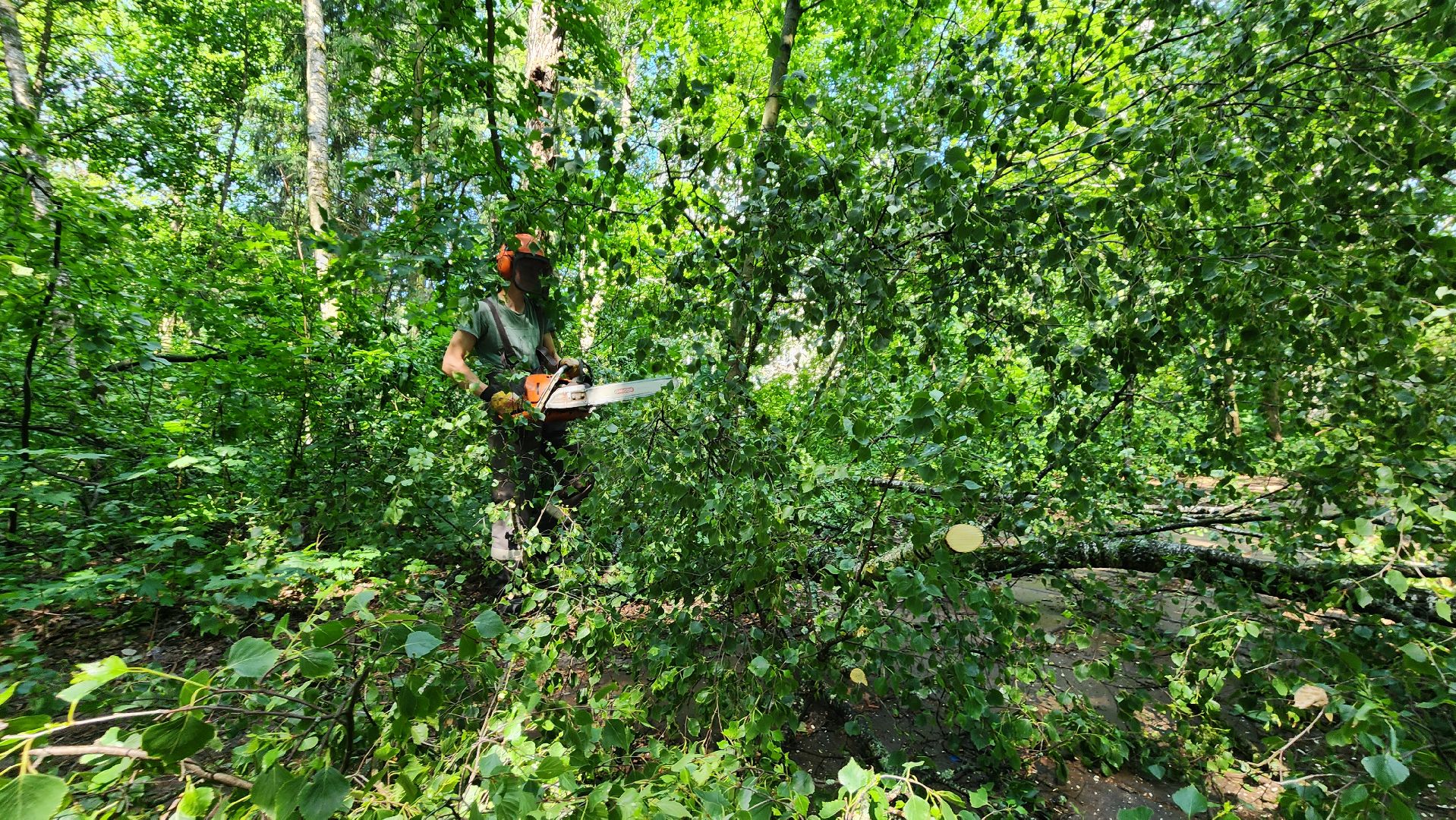 последствия урагана, комбинат благоустройства, протвино,