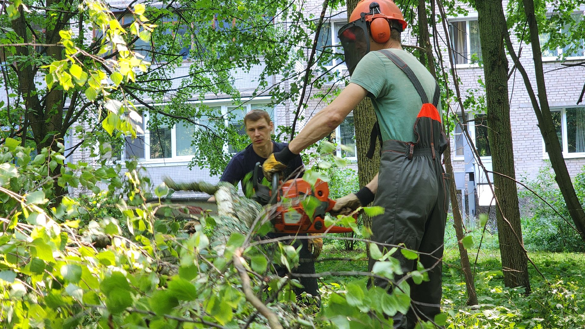 последствия урагана, комбинат благоустройства, протвино,