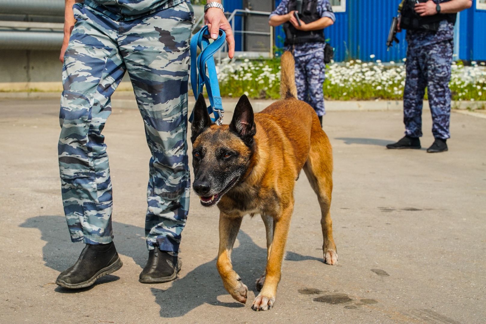 авария, учения, нефть,