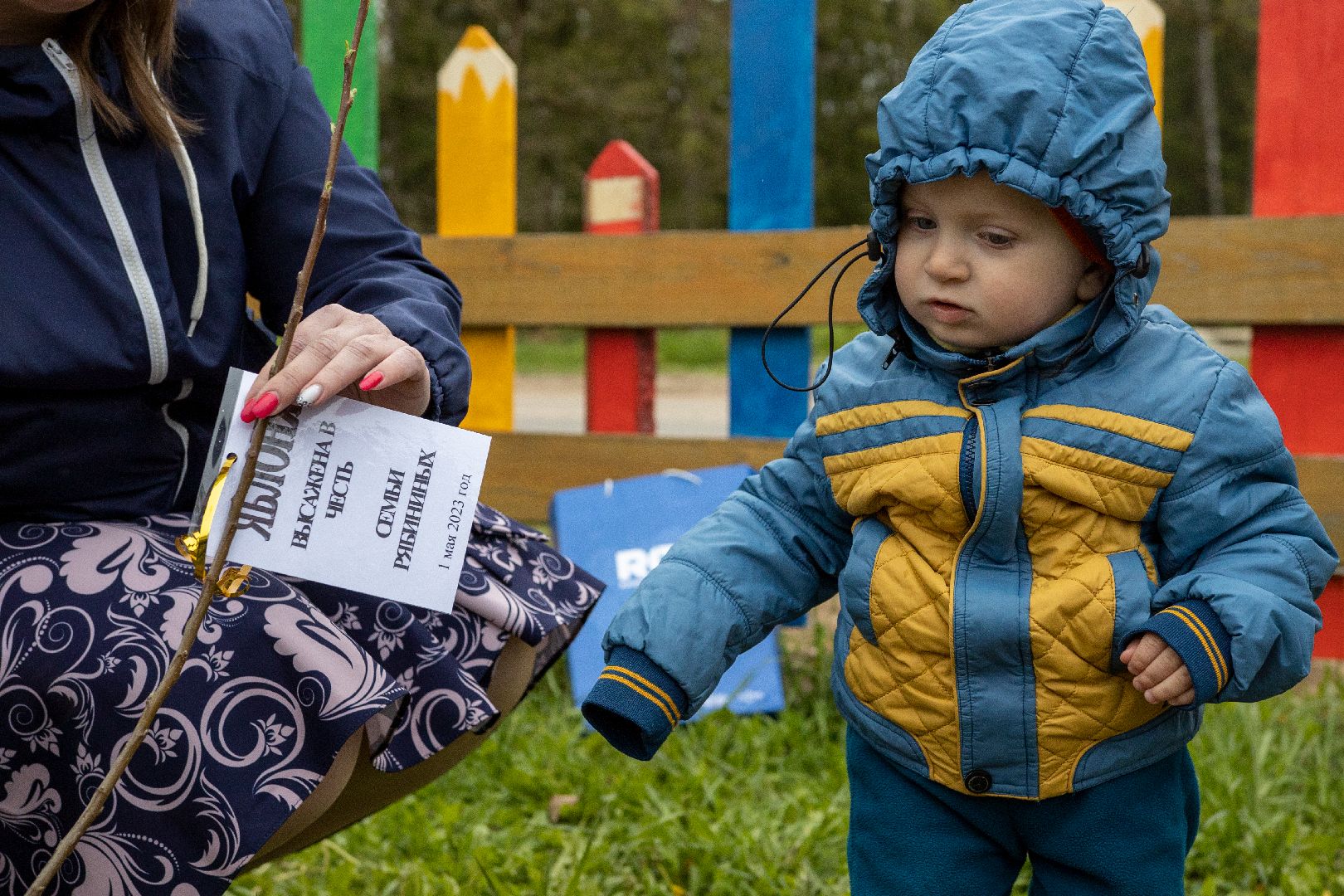Можайск, Можайский городской округ, Подмосковье, благоустройство, экология, акция, посади дерево, парк семьи, военнослужащие, Иван Конев