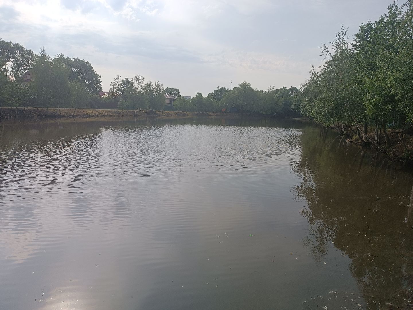 люберцы, снт ручеек, очистка пруда, санитарная обрезка деревьев,