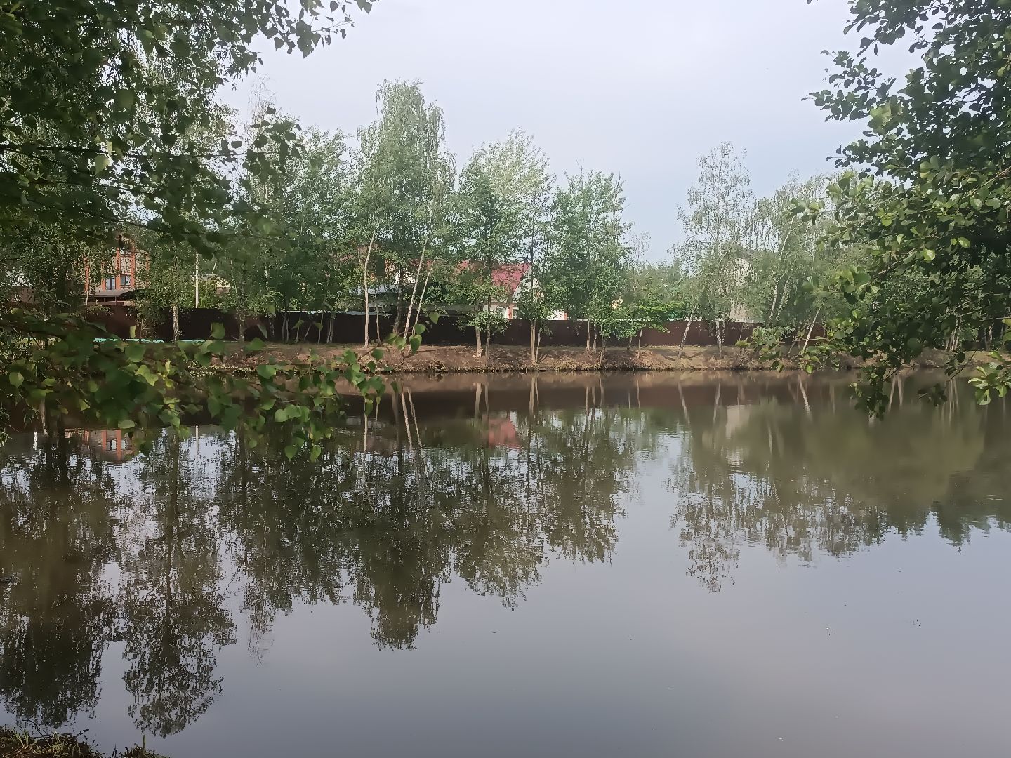 люберцы, снт ручеек, очистка пруда, санитарная обрезка деревьев,