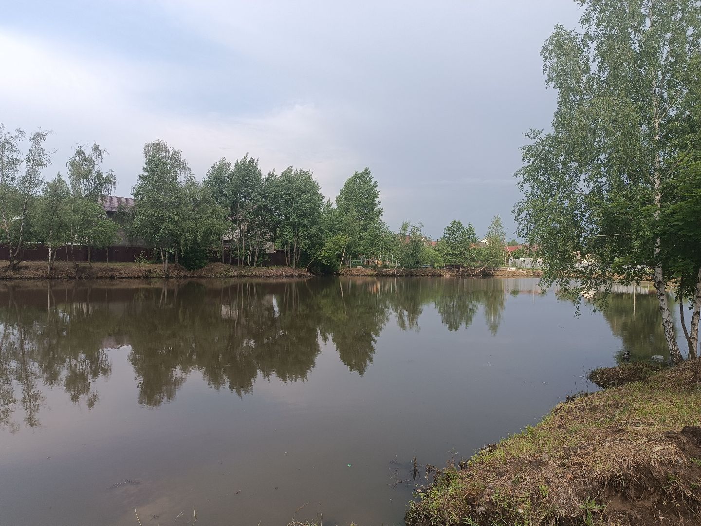 люберцы, снт ручеек, очистка пруда, санитарная обрезка деревьев,