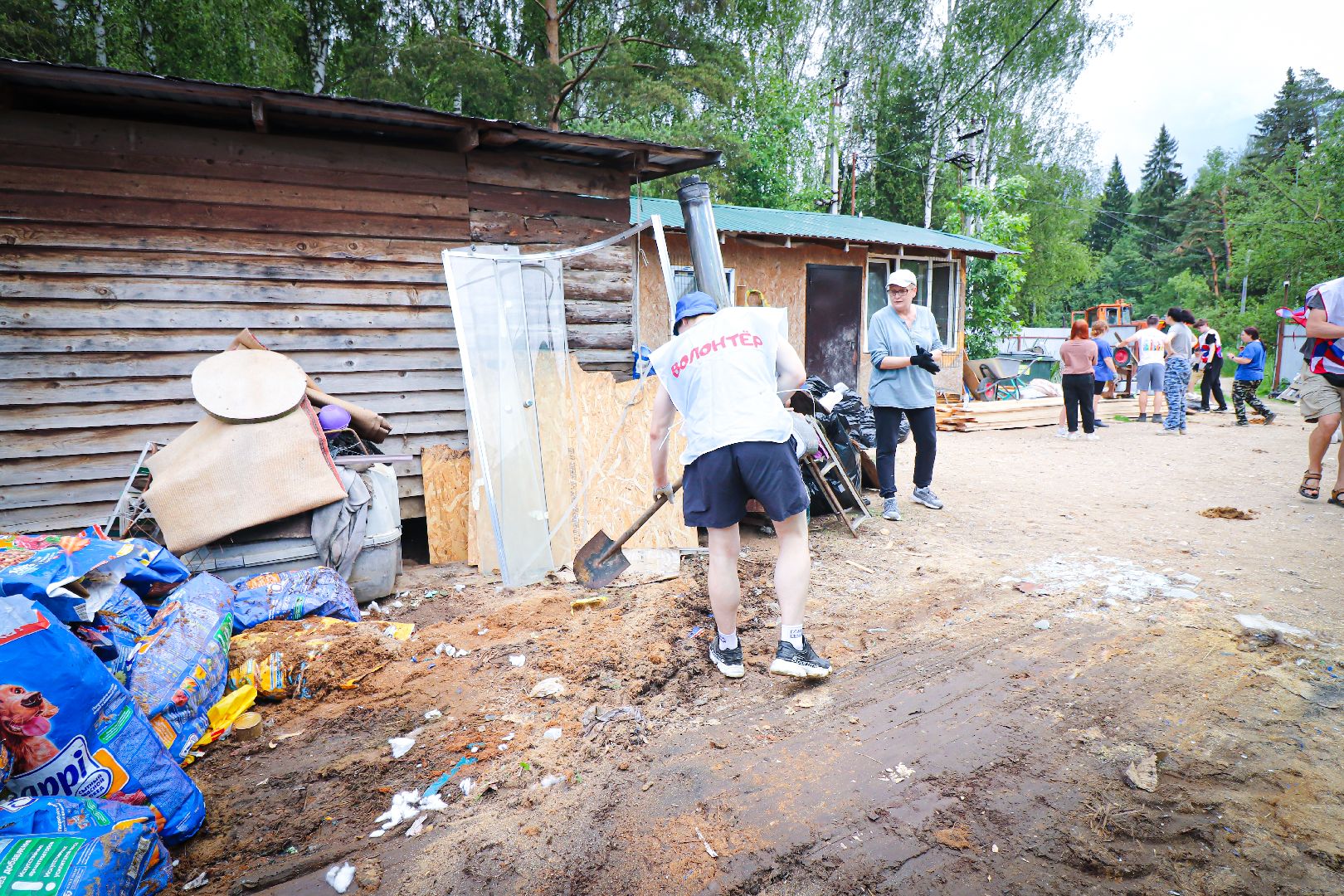 клин, общество,  приют для бездомных животных, животные, помощь, волонтеры, Подмосковье, субботники,
