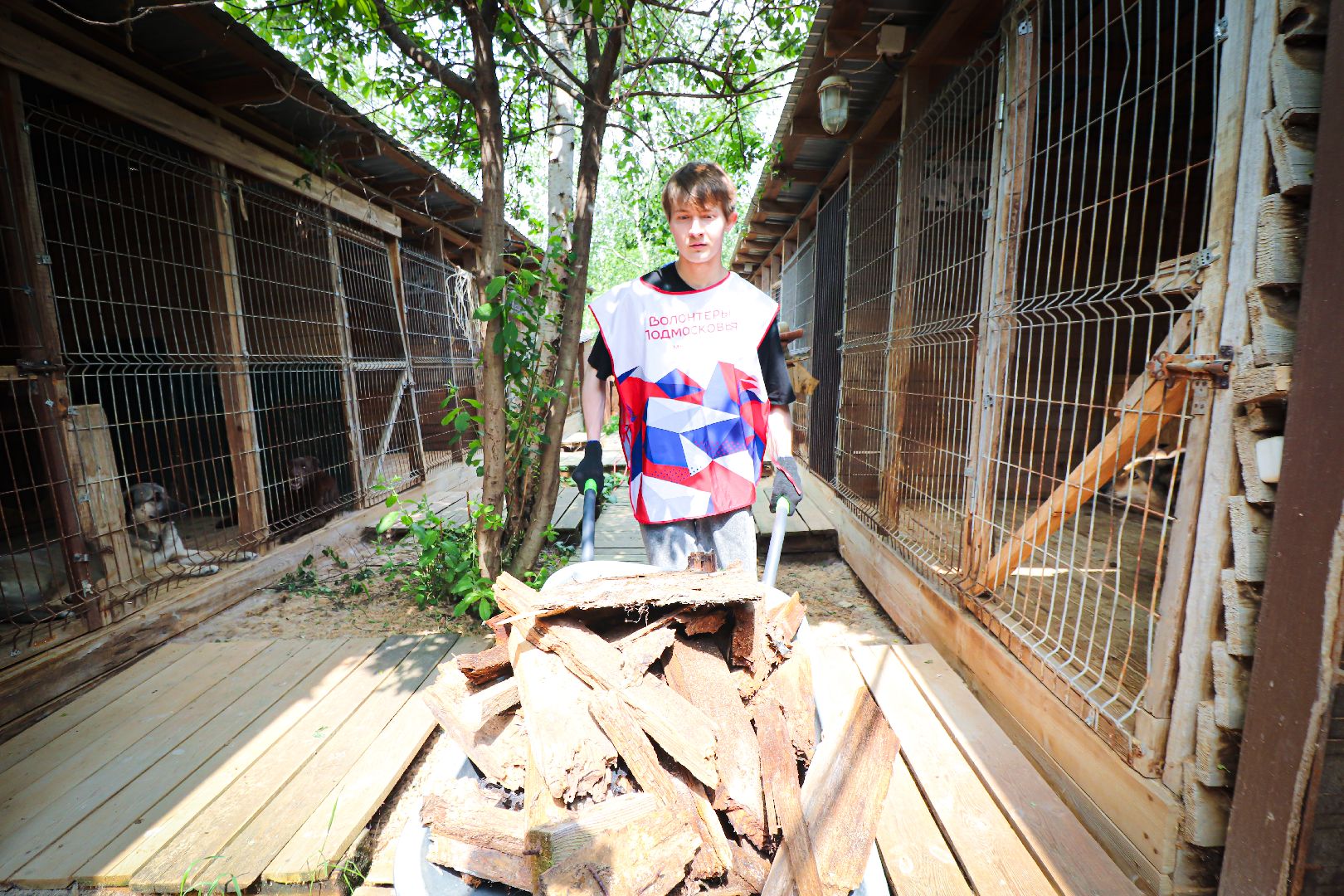 клин, общество,  приют для бездомных животных, животные, помощь, волонтеры, Подмосковье, субботники,