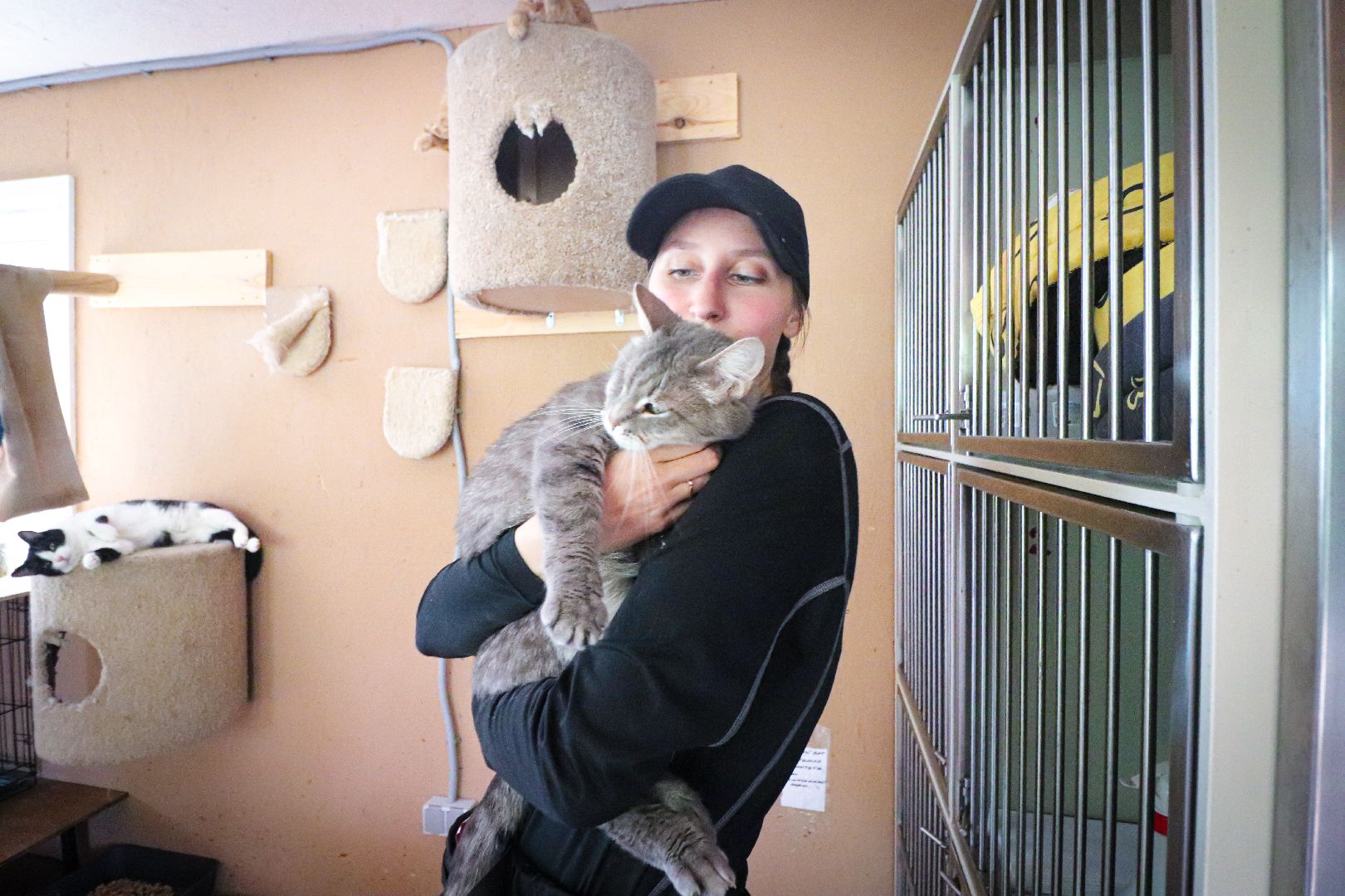 клин, общество,  приют для бездомных животных, животные, помощь, волонтеры, Подмосковье, субботники,