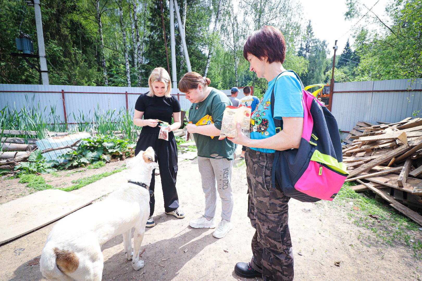 клин, общество,  приют для бездомных животных, животные, помощь, волонтеры, Подмосковье, субботники,