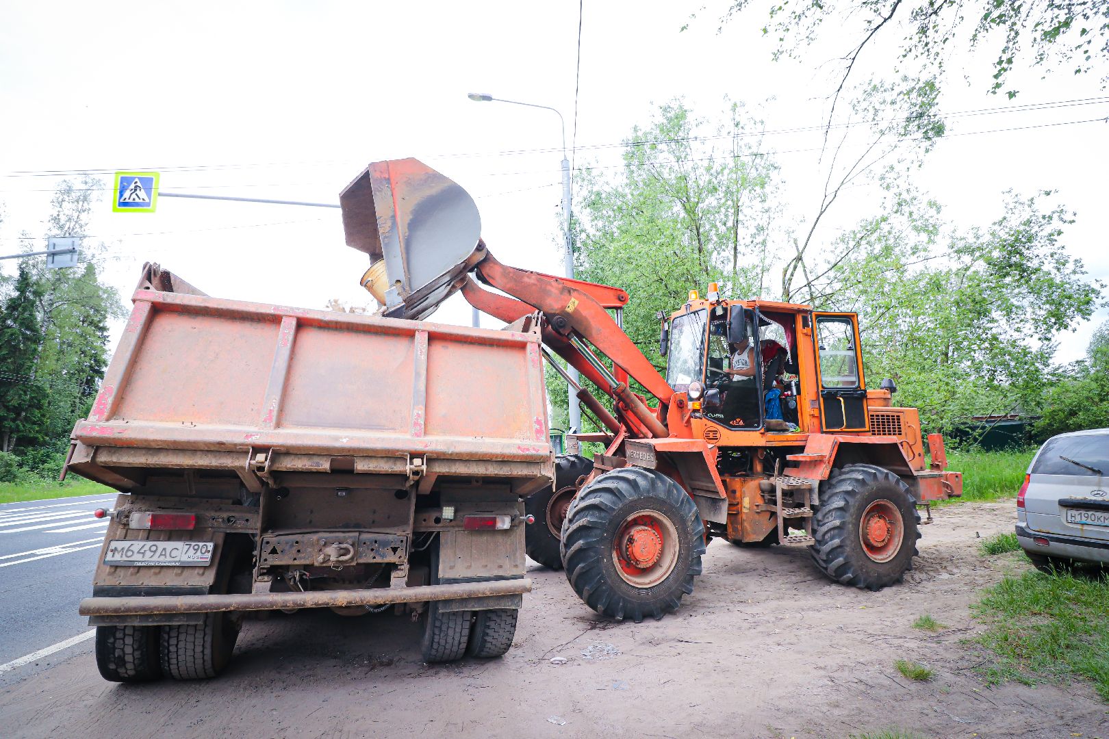 клин, общество,  приют для бездомных животных, животные, помощь, волонтеры, Подмосковье, субботники,