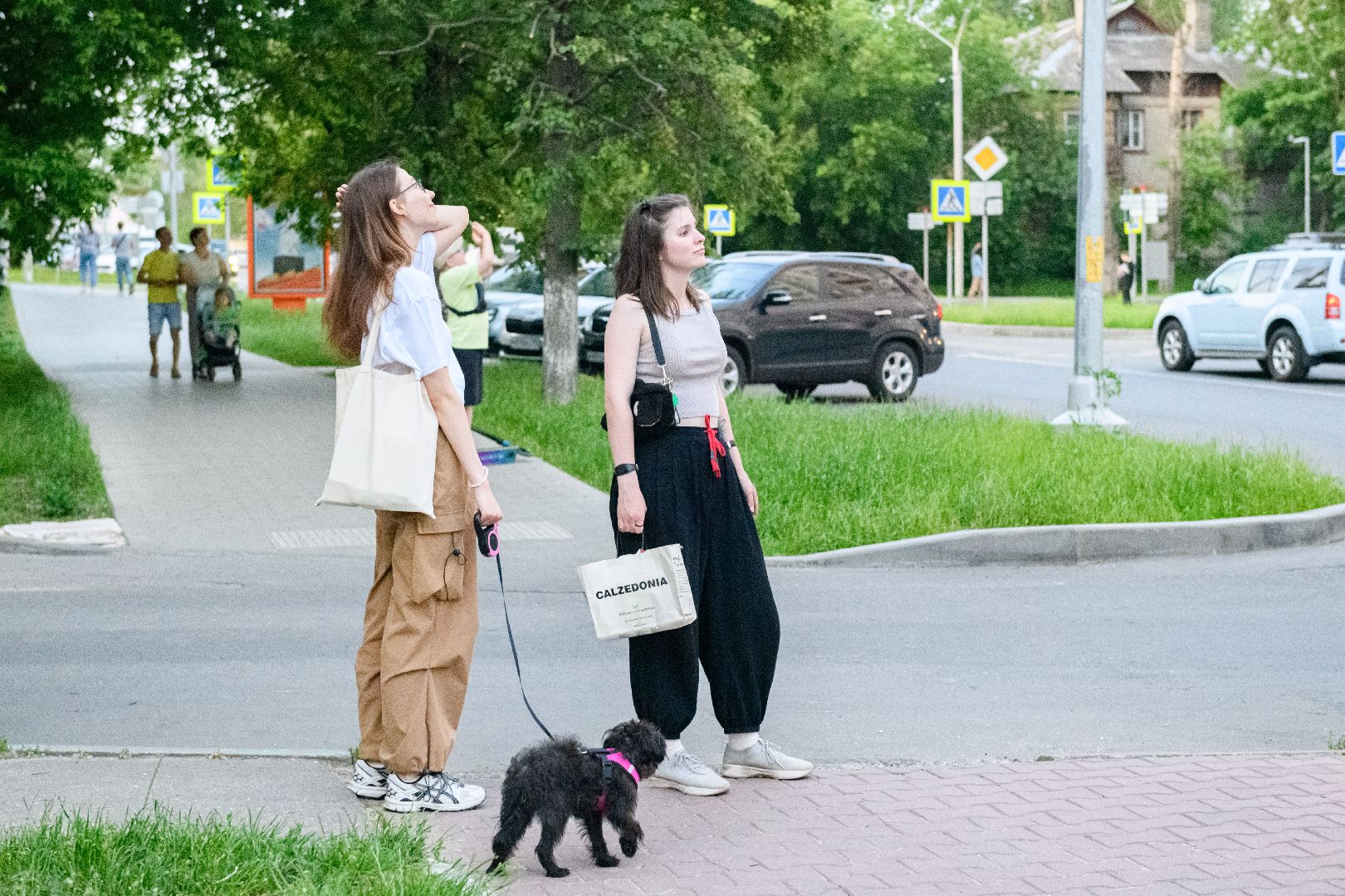 лыткарино, общество, музыка , творчество детей,