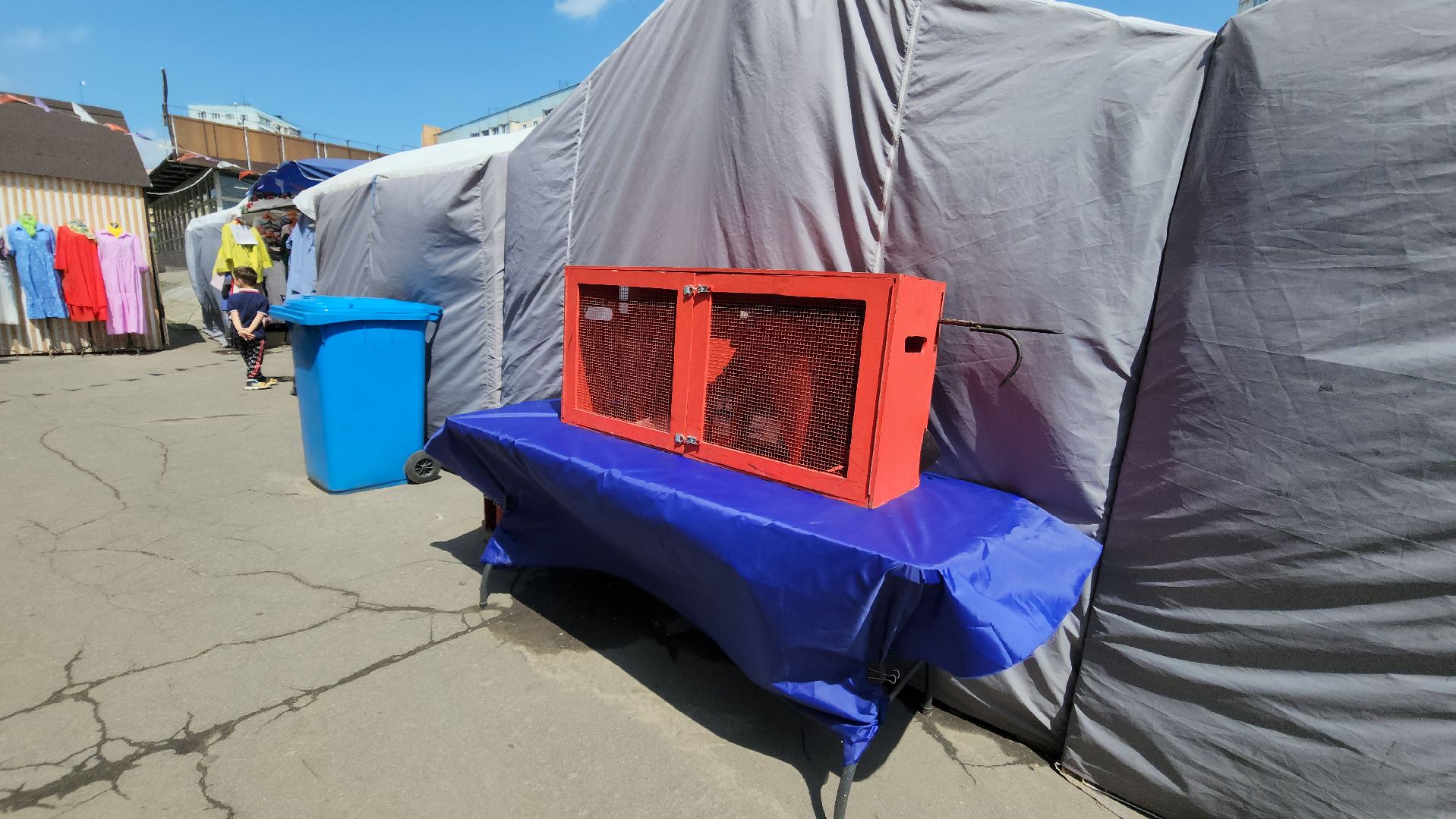 ярмарка, красногорск, продукты,лето в подмосковье,