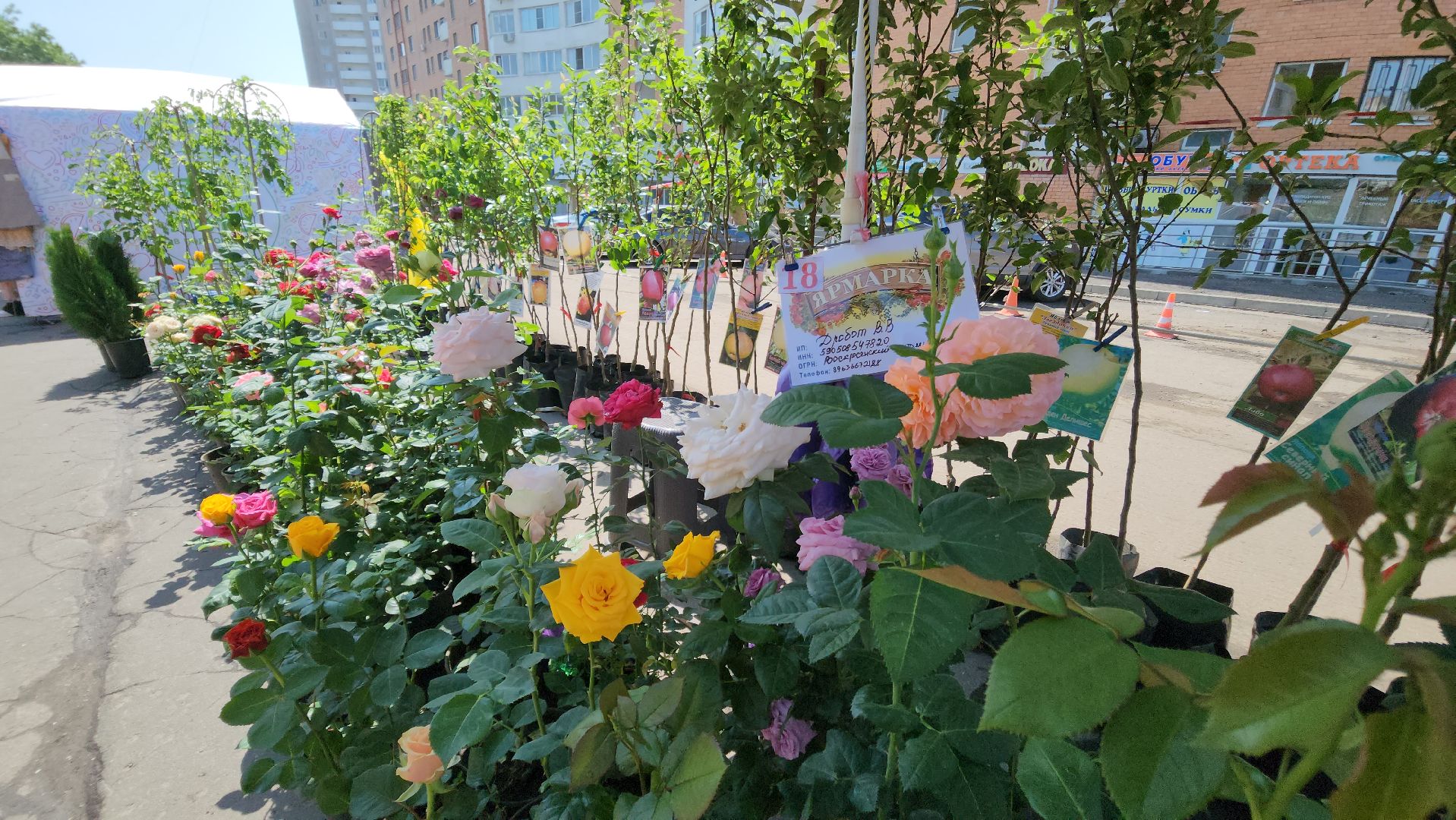 ярмарка, красногорск, продукты,лето в подмосковье,