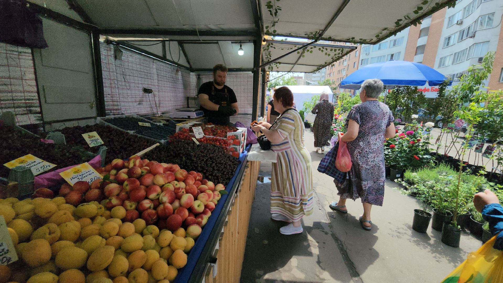 ярмарка, красногорск, продукты,лето в подмосковье,