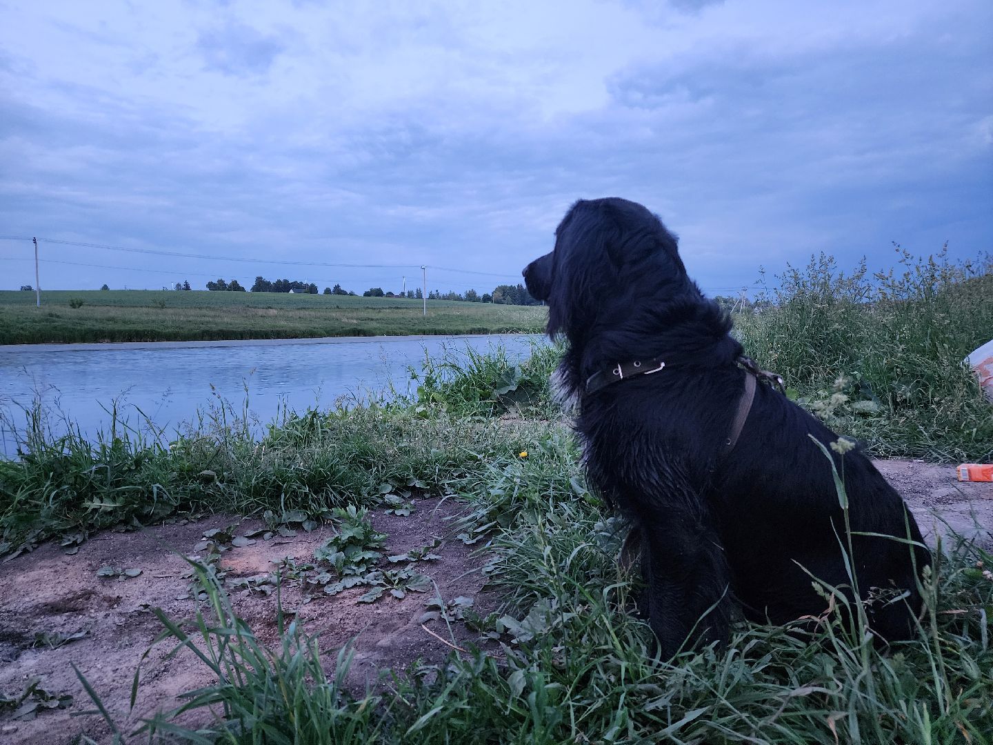 зарайск, физрук, защитники родины, участник сво,