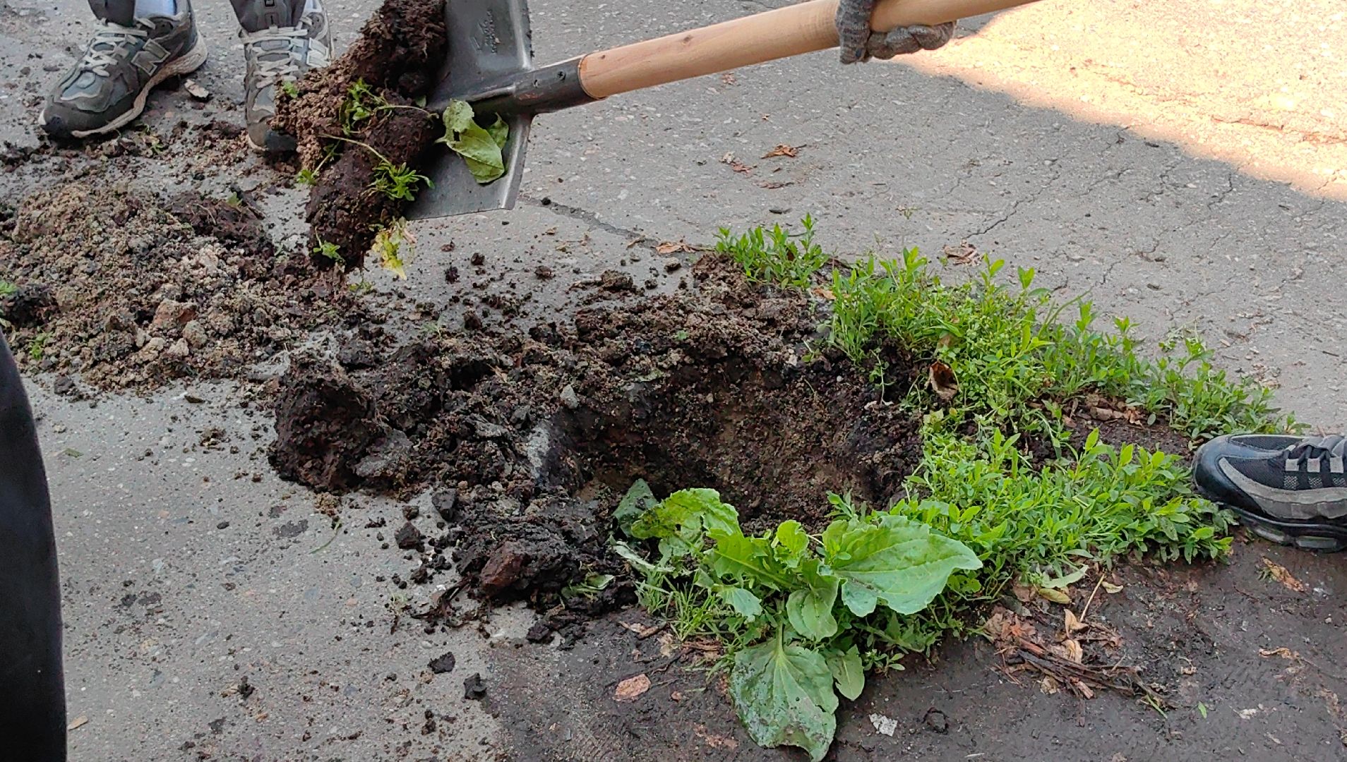 трудовое лето, подростки, школьники, инвентарь, благоустройство,