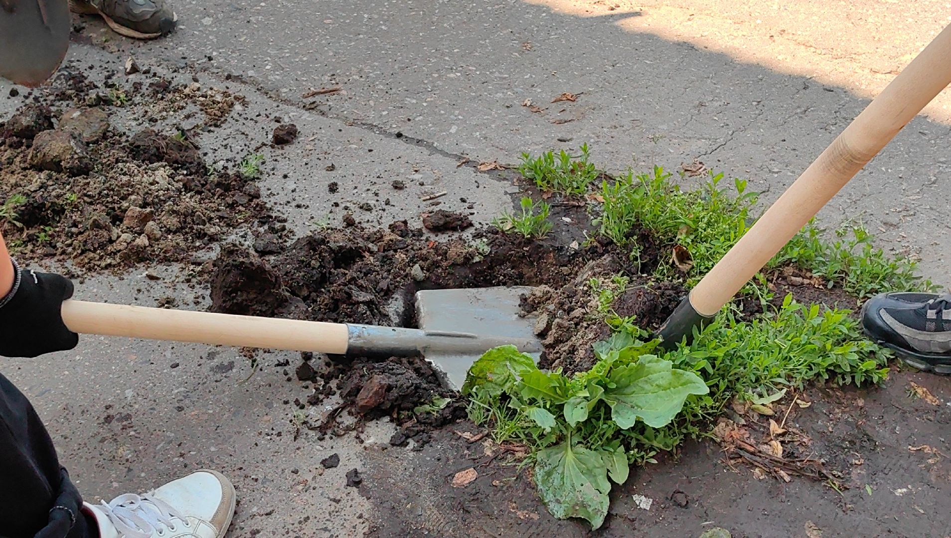 трудовое лето, подростки, школьники, инвентарь, благоустройство,