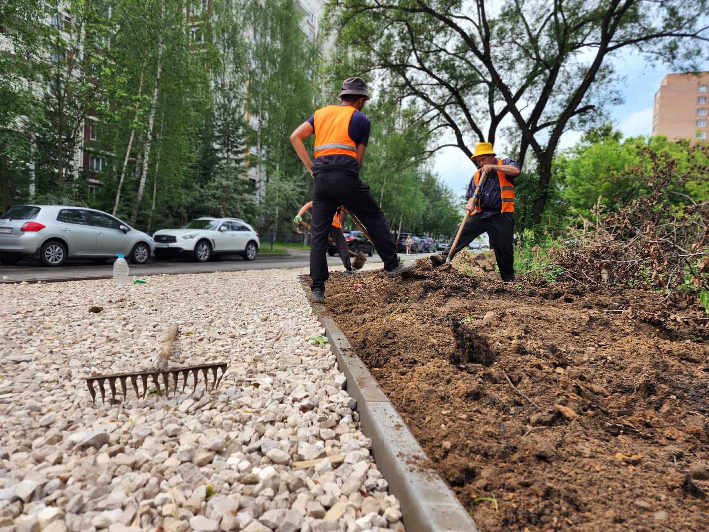 фрязино, пешеходная дорожка, народная тропа, благоустройство,