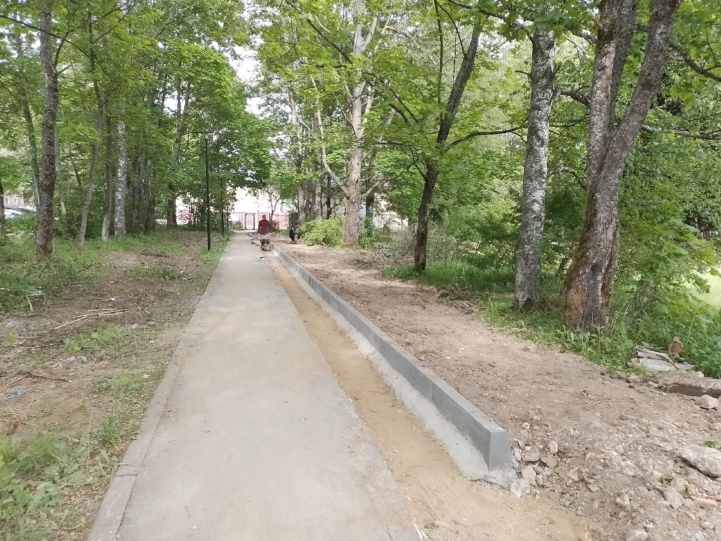 городской округ восход, строителсьтво, благоустройство, школа, аллея,