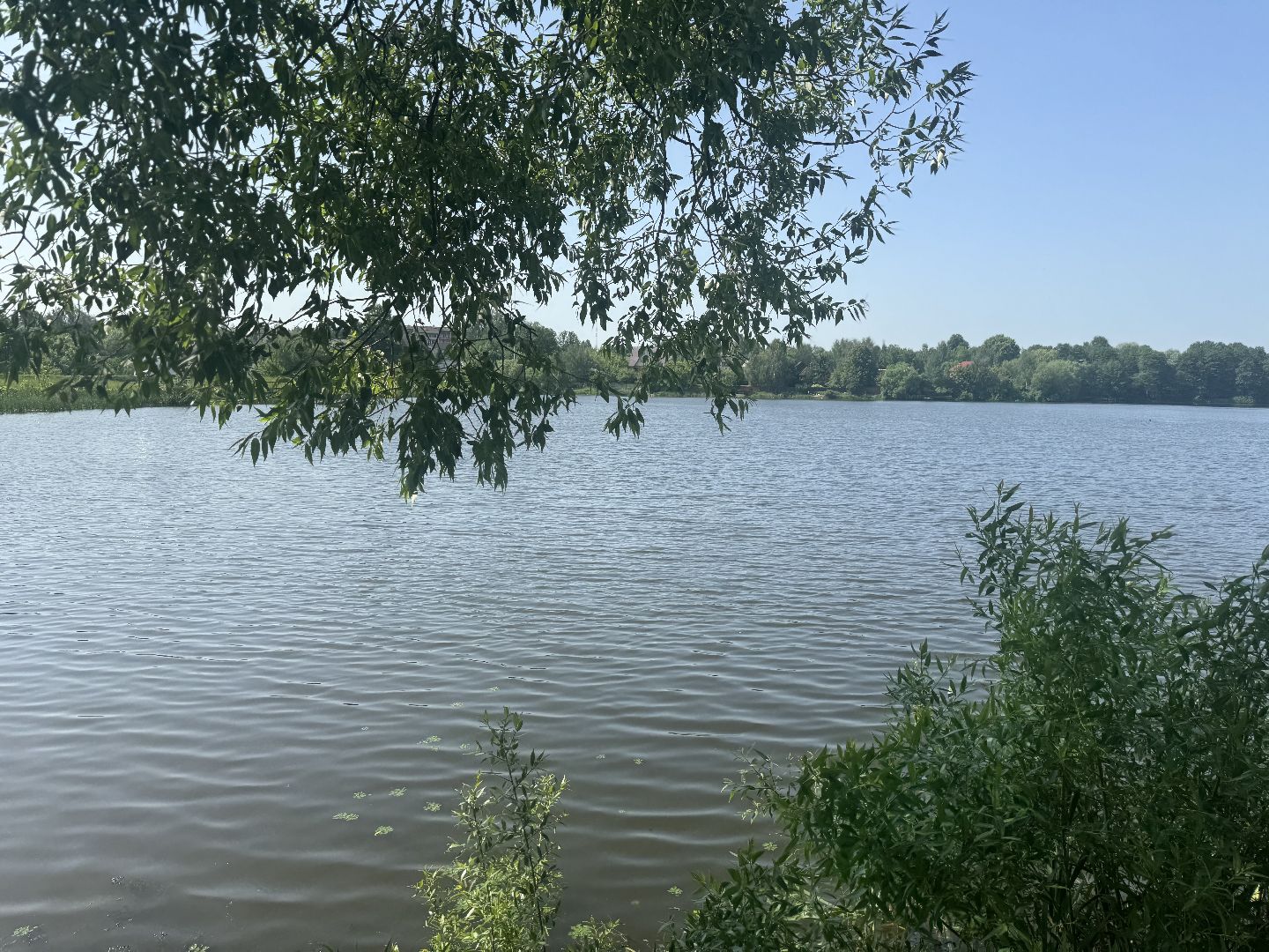 пляжи в ленинском округе , лето в подмосковье, ленинский городской округ,